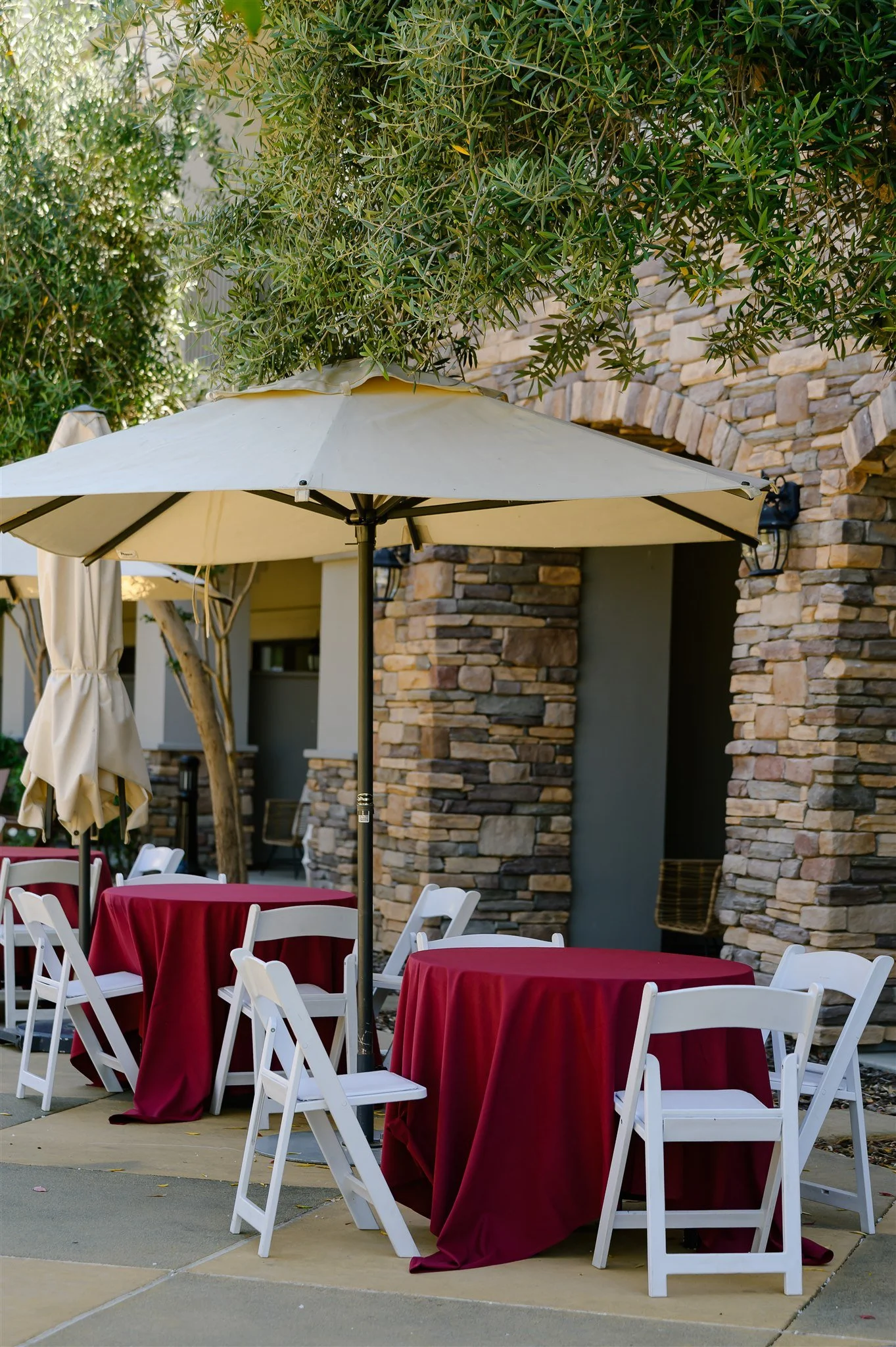 ALP_Wag_Wine_and_Dine_1013.jpg