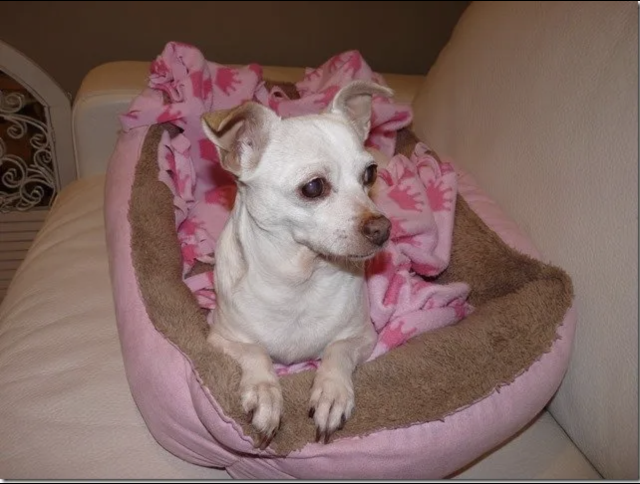 Screen Shot 2024-03-25 at 8.13.00 PM.png