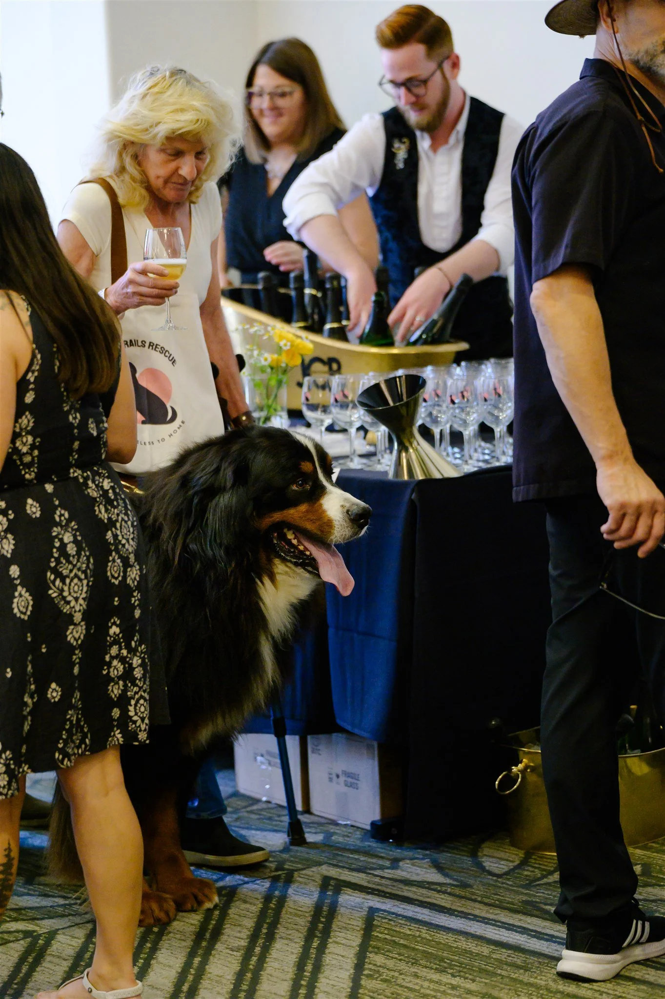 ALP_Wag_Wine_and_Dine_1116.jpg