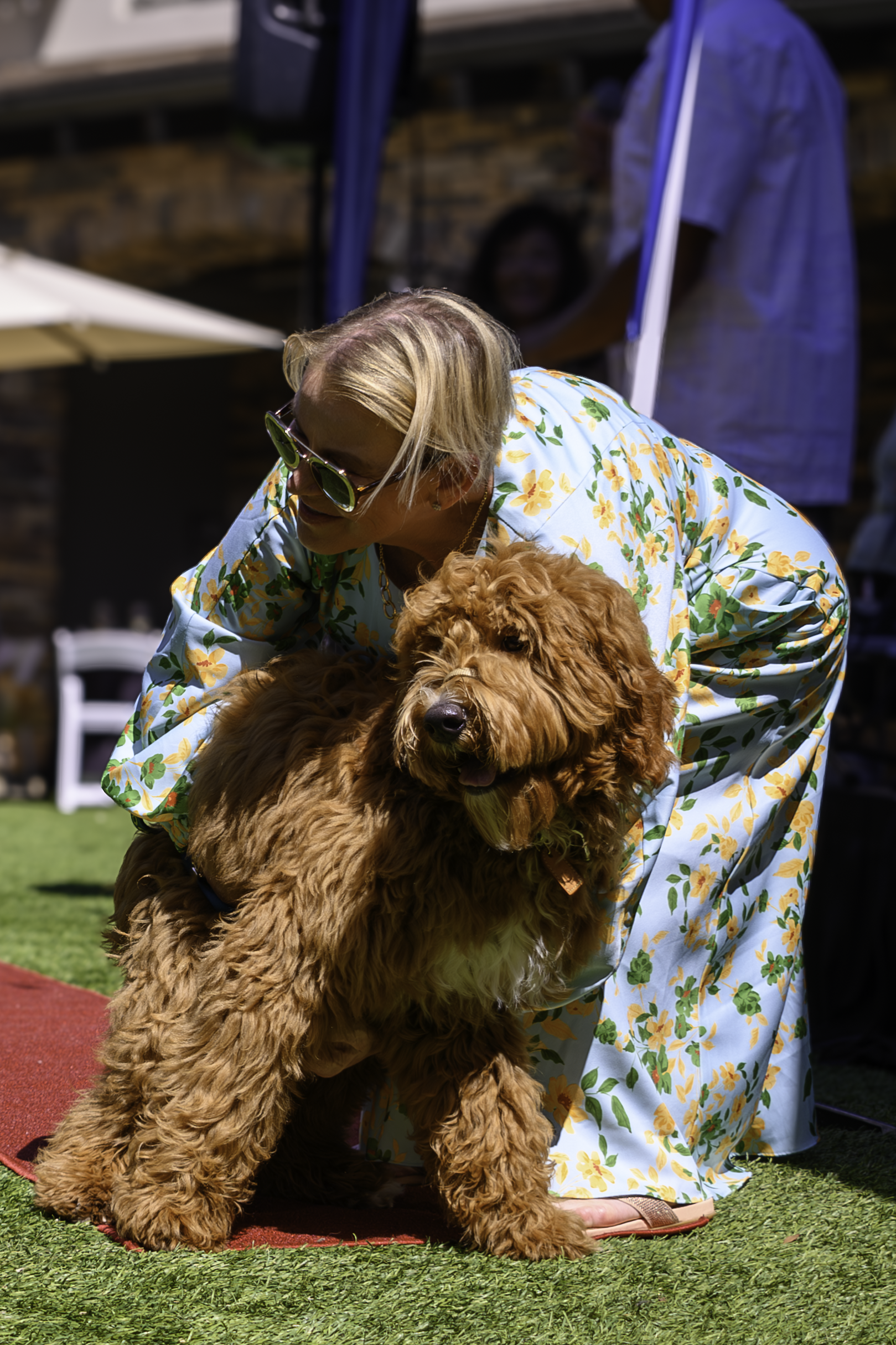 suzanne-hawken-napa-photographer-wags-wine-and-dine-2024-19.png