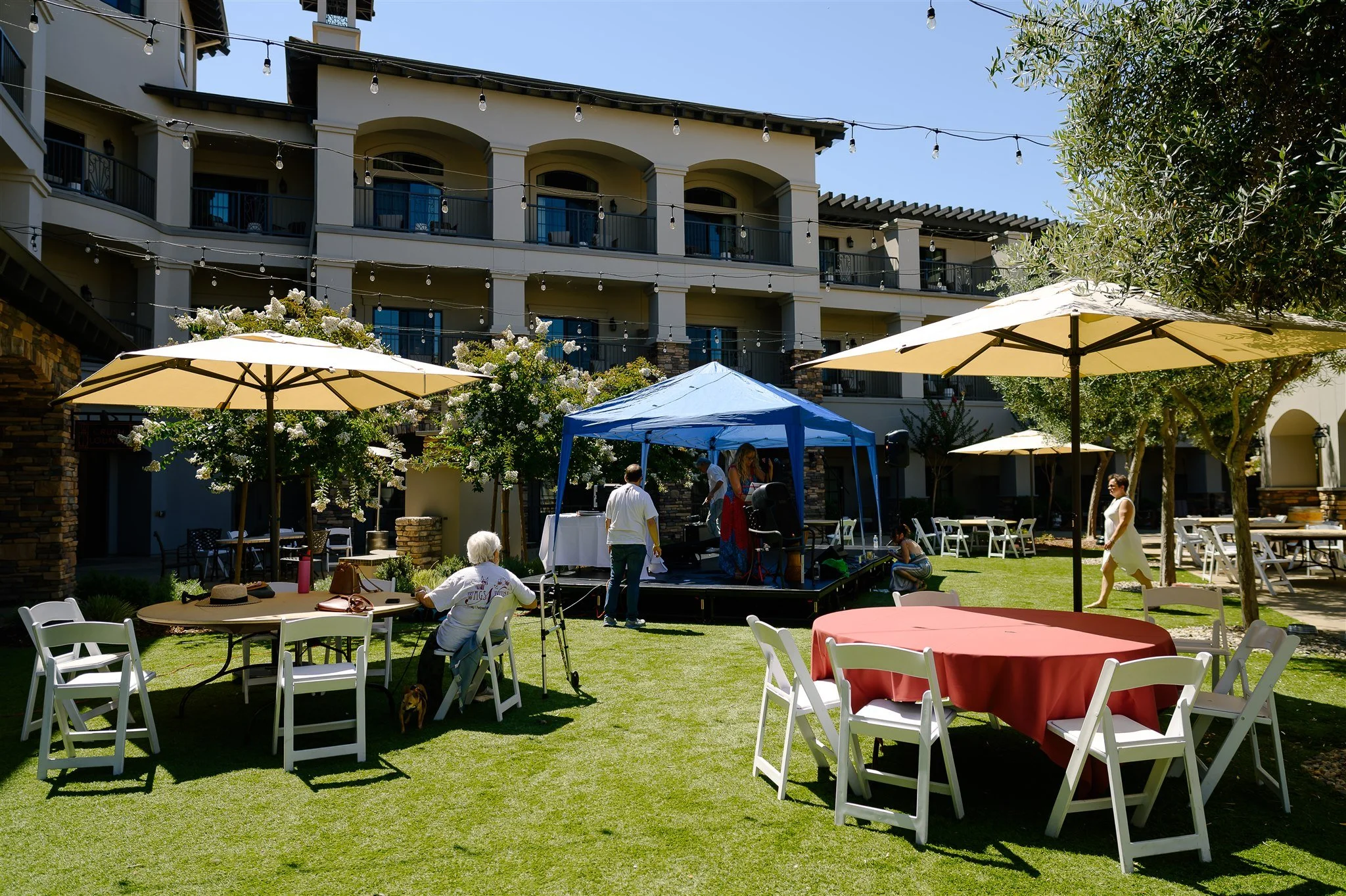 ALP_Wag_Wine_and_Dine_1090.jpg