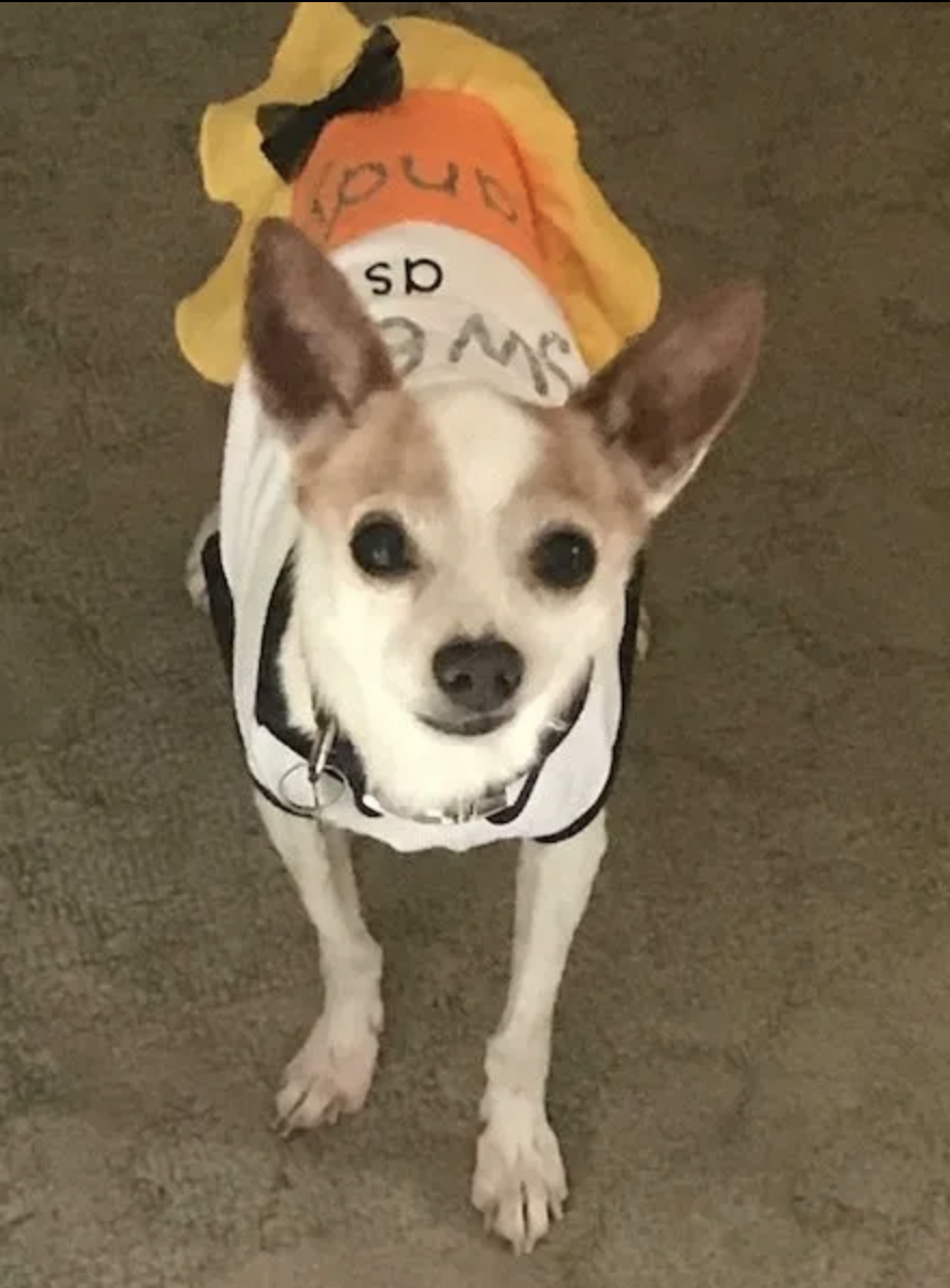 Screen Shot 2024-03-25 at 8.19.17 PM.png