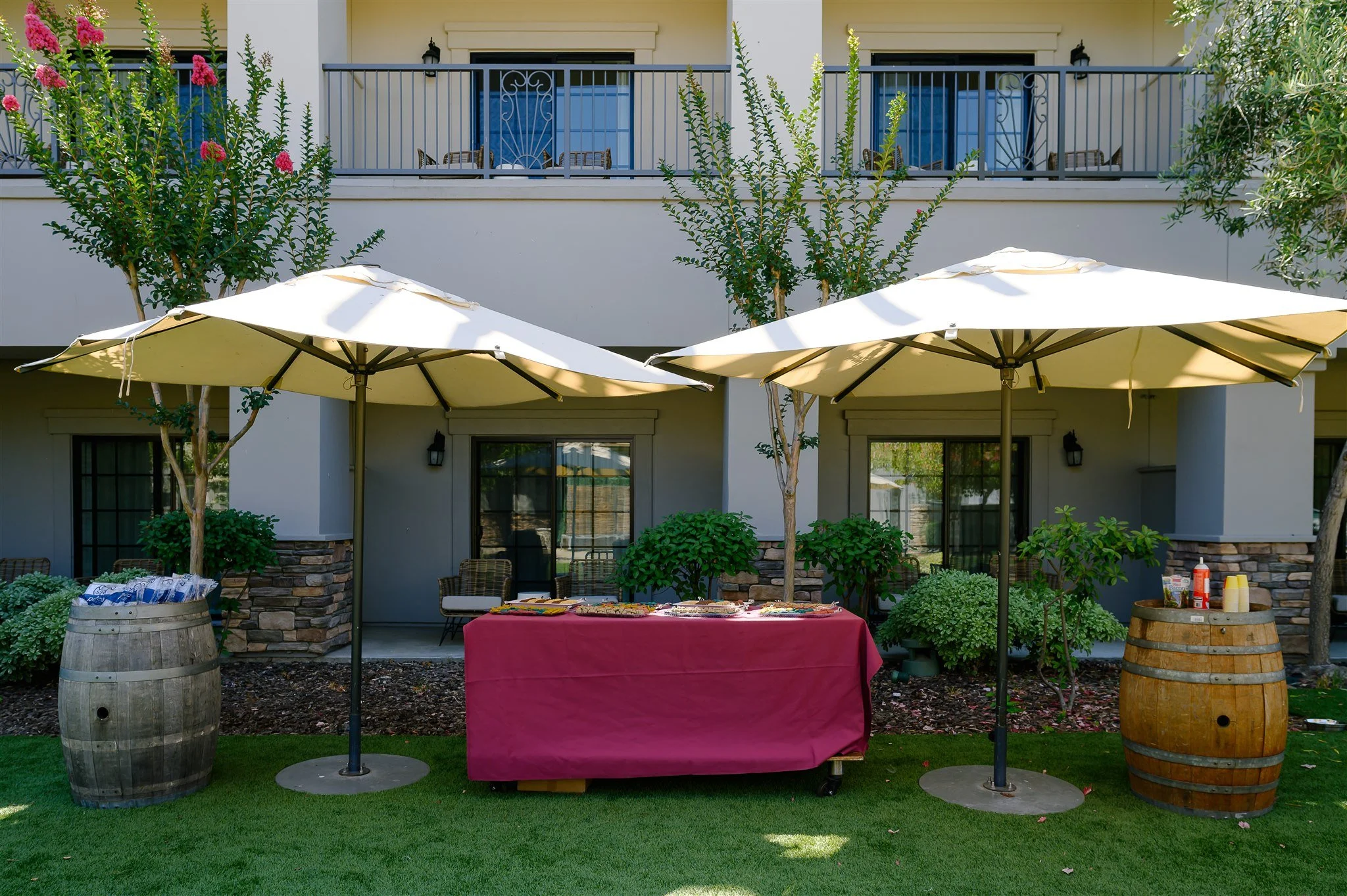 ALP_Wag_Wine_and_Dine_1006.jpg