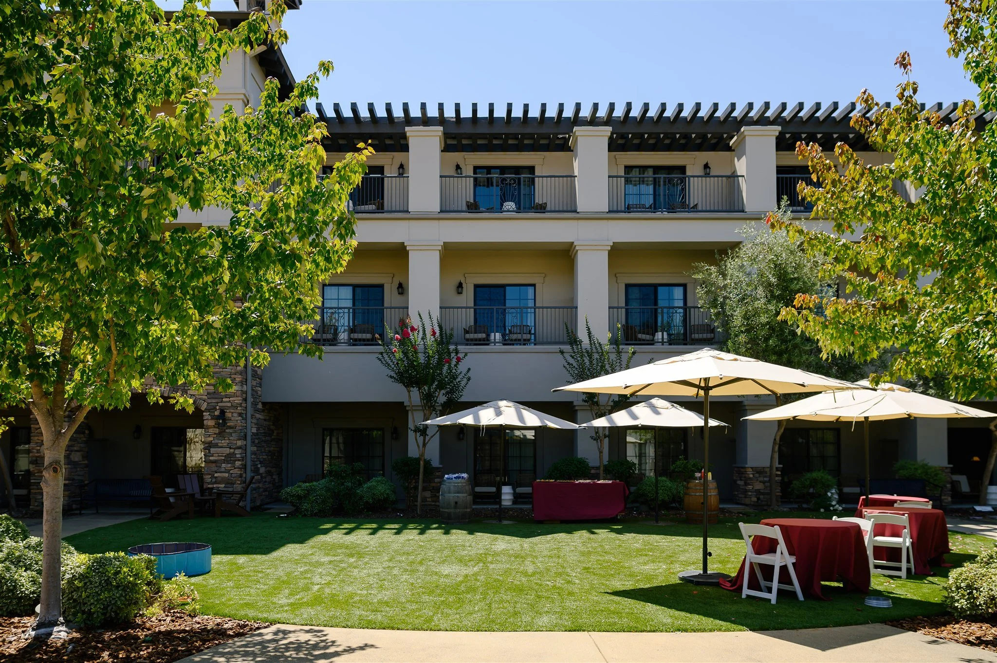 ALP_Wag_Wine_and_Dine_1004.jpg