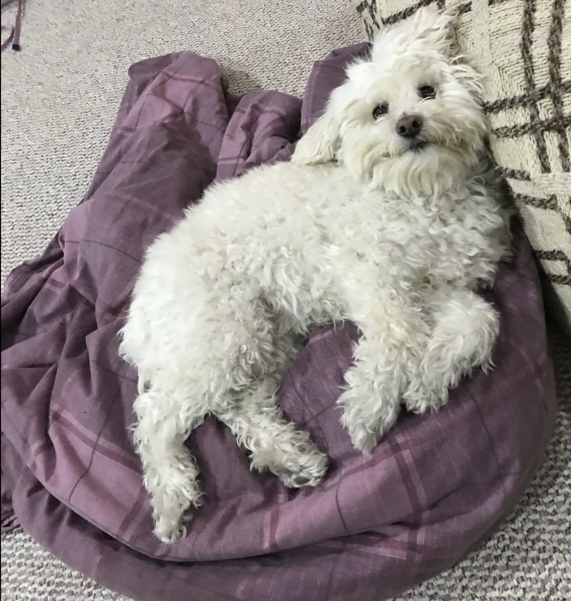 Screen Shot 2024-03-25 at 8.16.52 PM.png