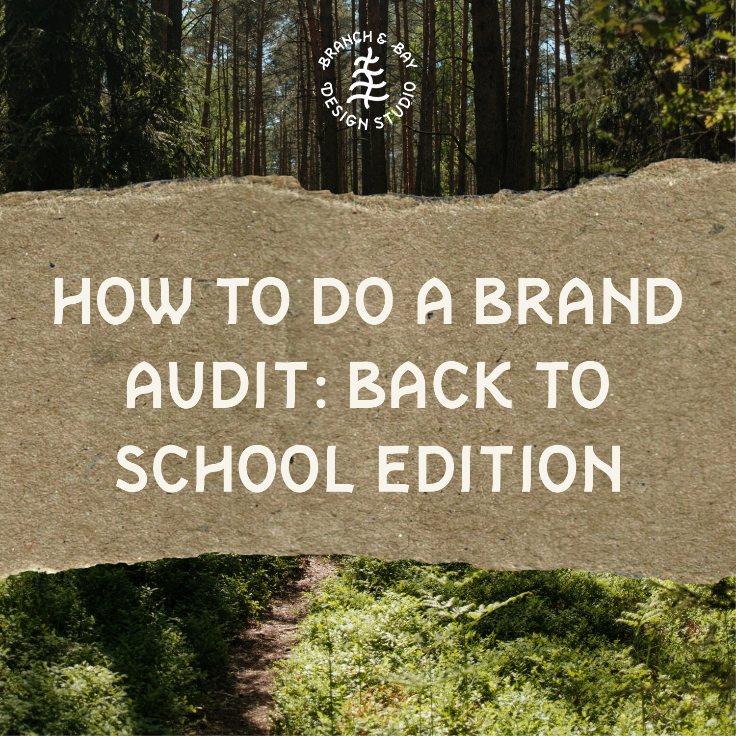 how to do a brand audit: back to school edition