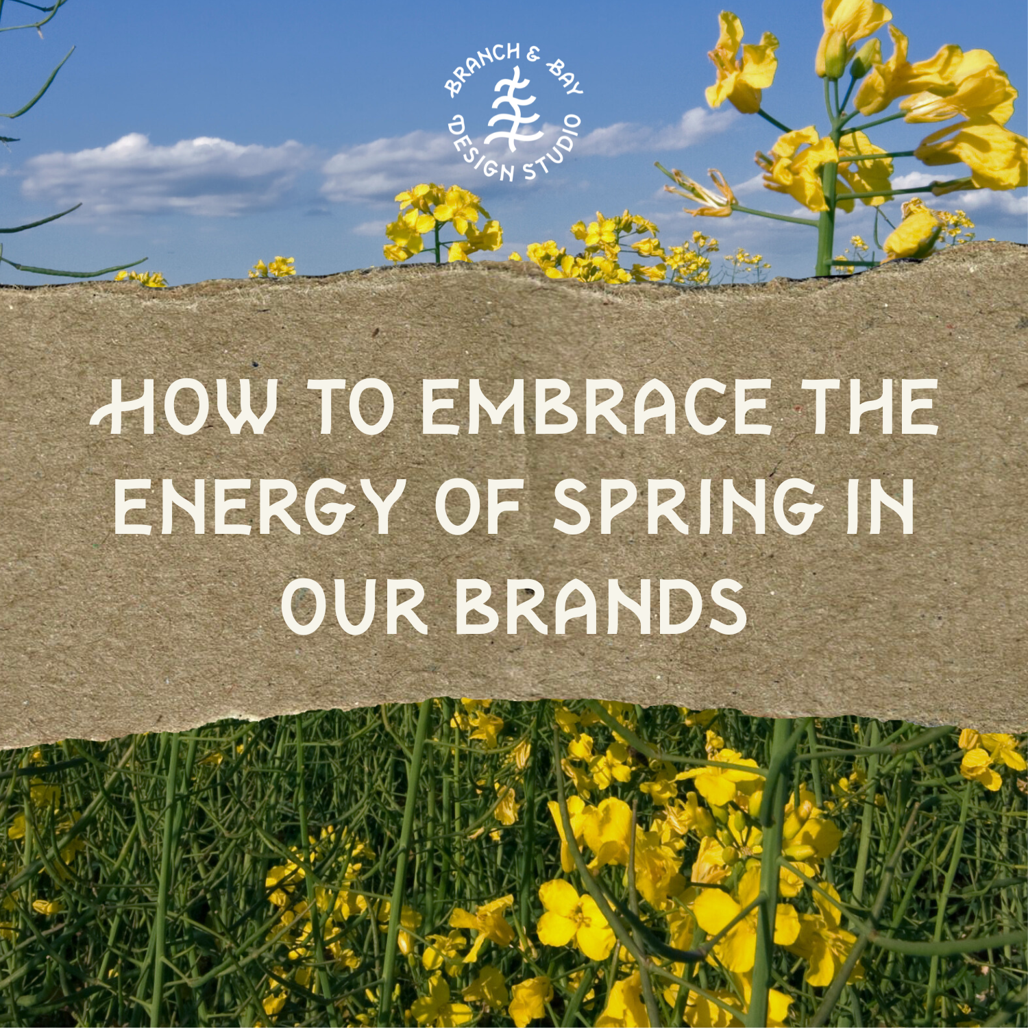 How To Embrace The Energy Of Spring In Our Brands