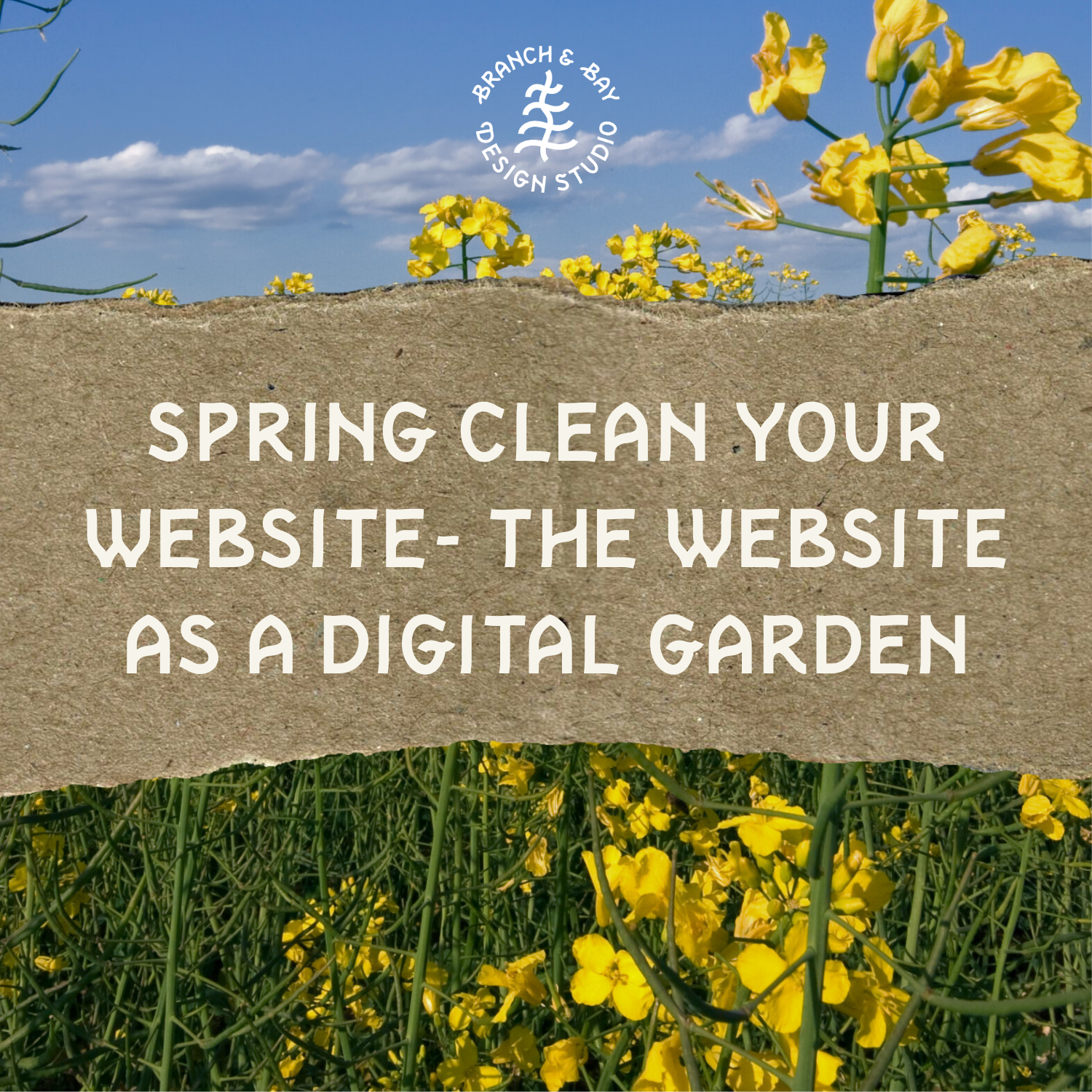 Spring Clean Your Website