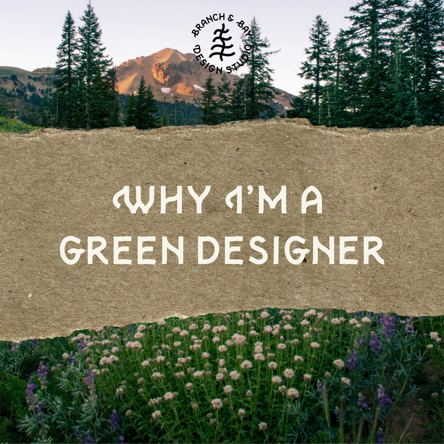 Why I’m a Green Designer