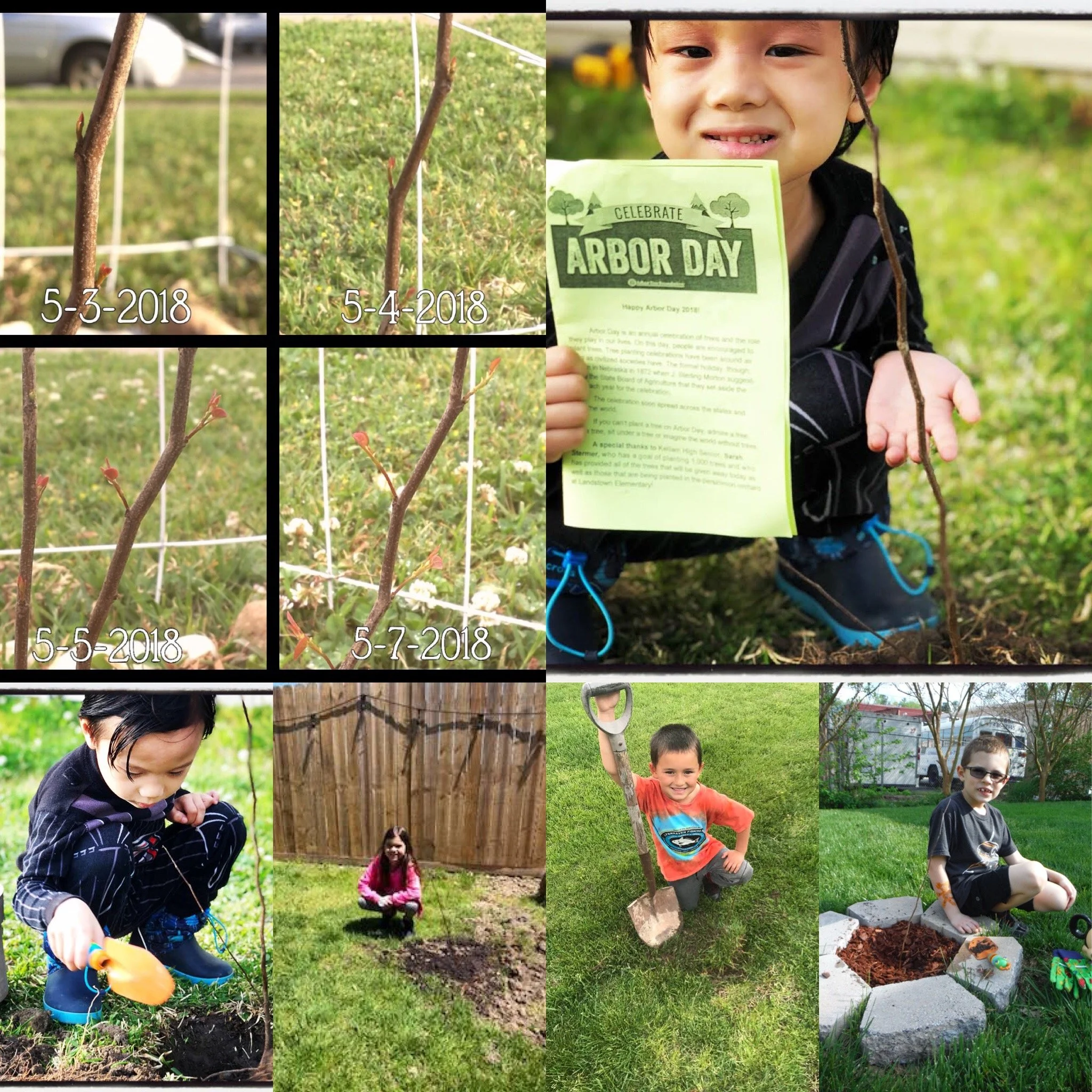 Students planting my donated trees on Arbor Day