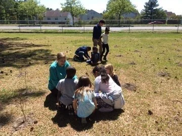 More student tree plantings
