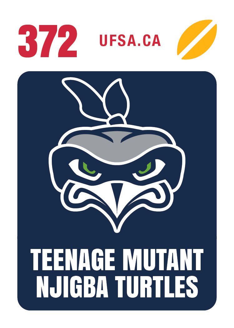 TEENAGE MUTANT NJIGBA TURTLES (#372)
