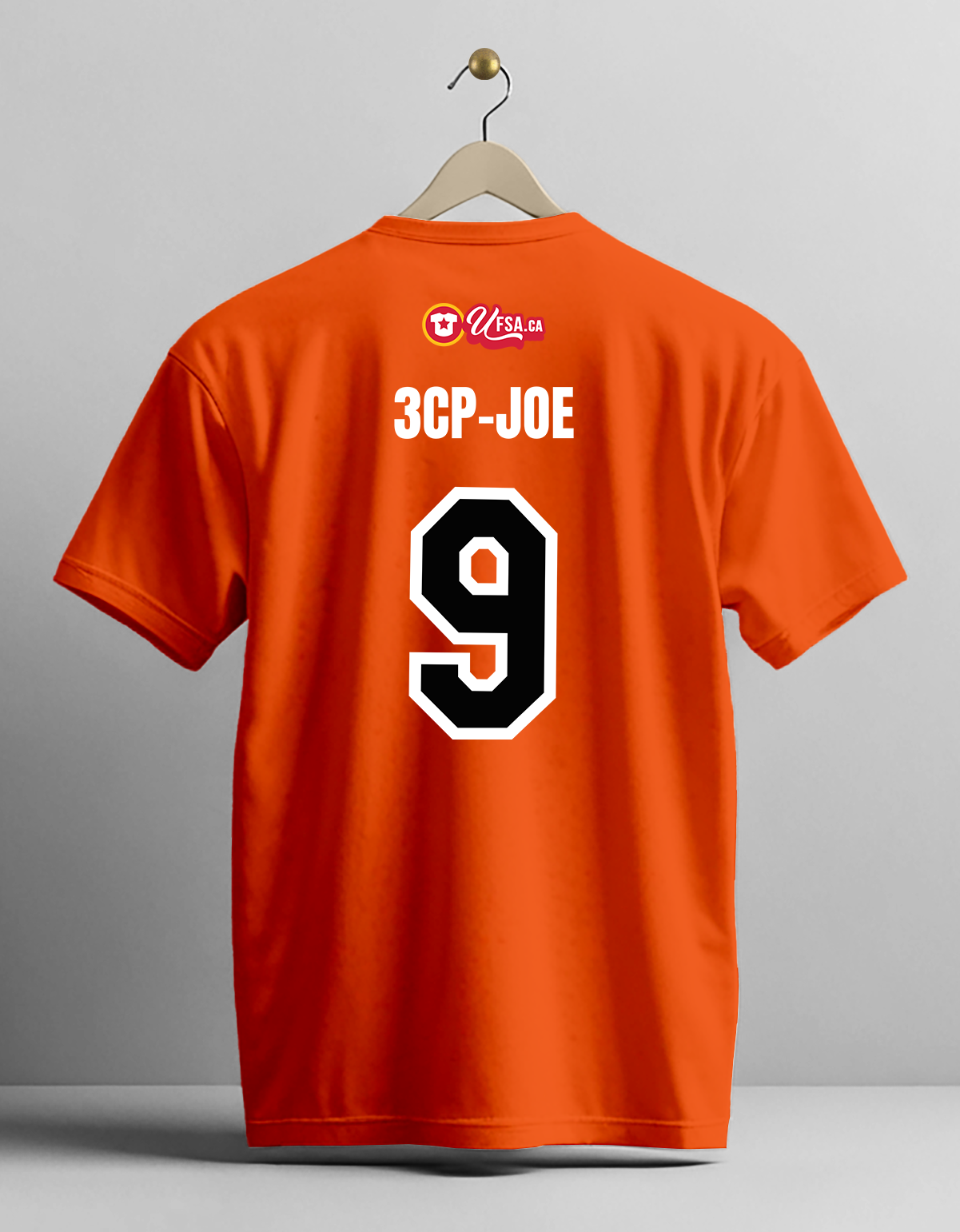 XL-243 (CIN) C-3P-Joe (A) BACK.png