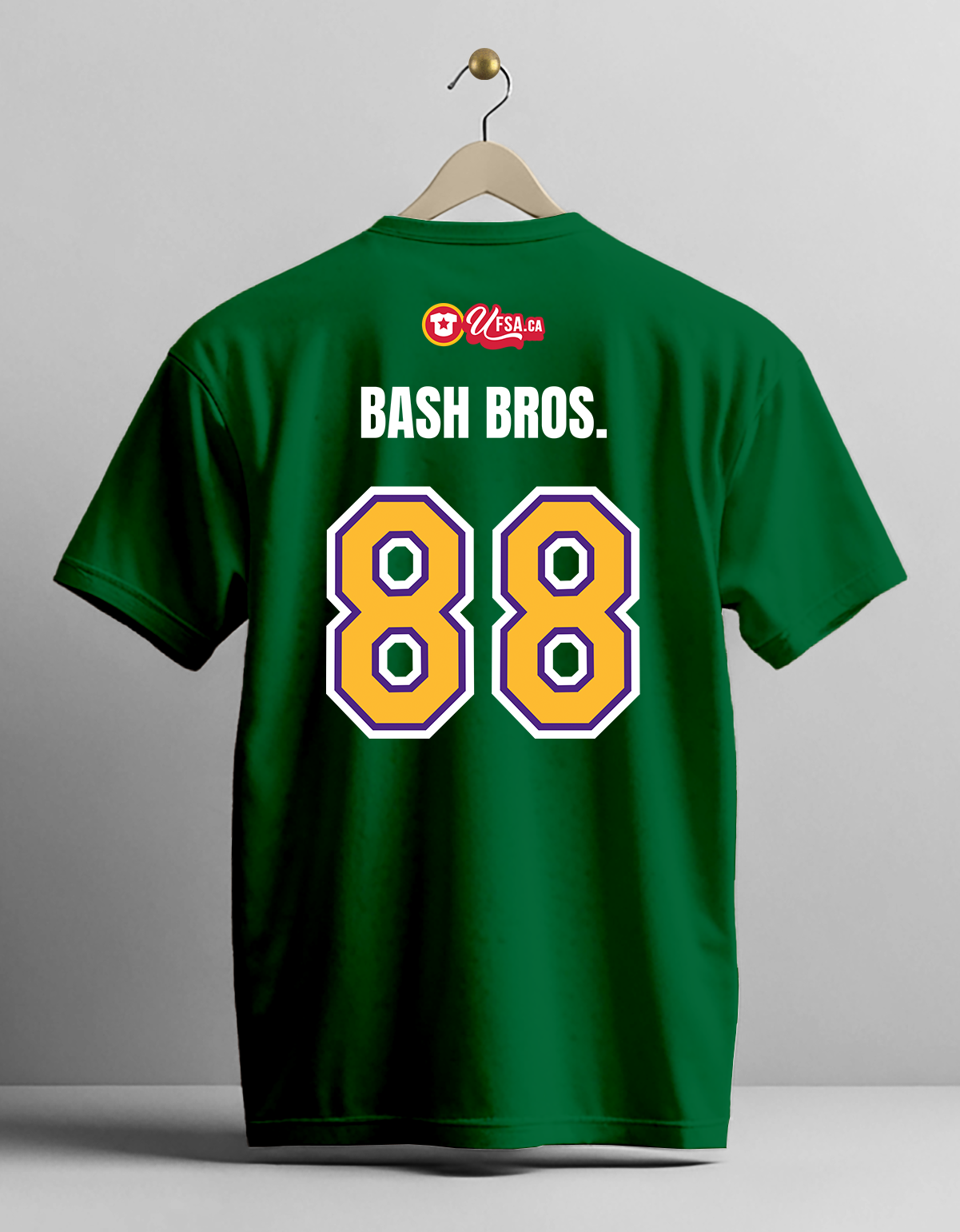 XL-163 (ANA) Bash Bros (A) BACK.png
