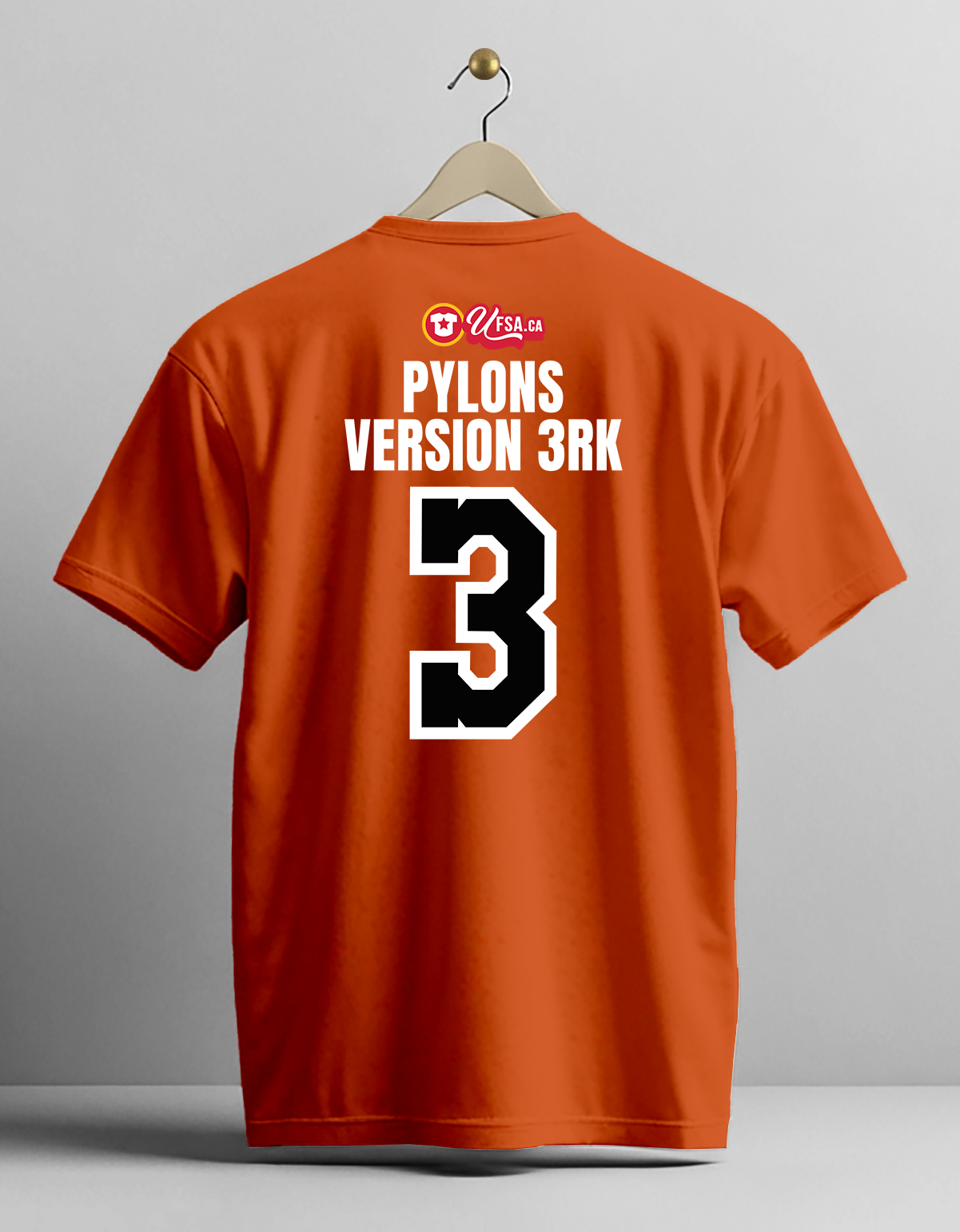 XL-068 (CIN) Pylons Version 3RK (A) BACK.png