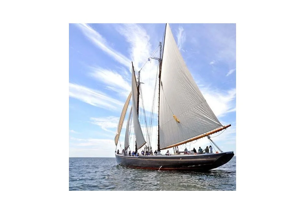 Private Free Queer Teens and Friends Sails on the Schooner Adventure