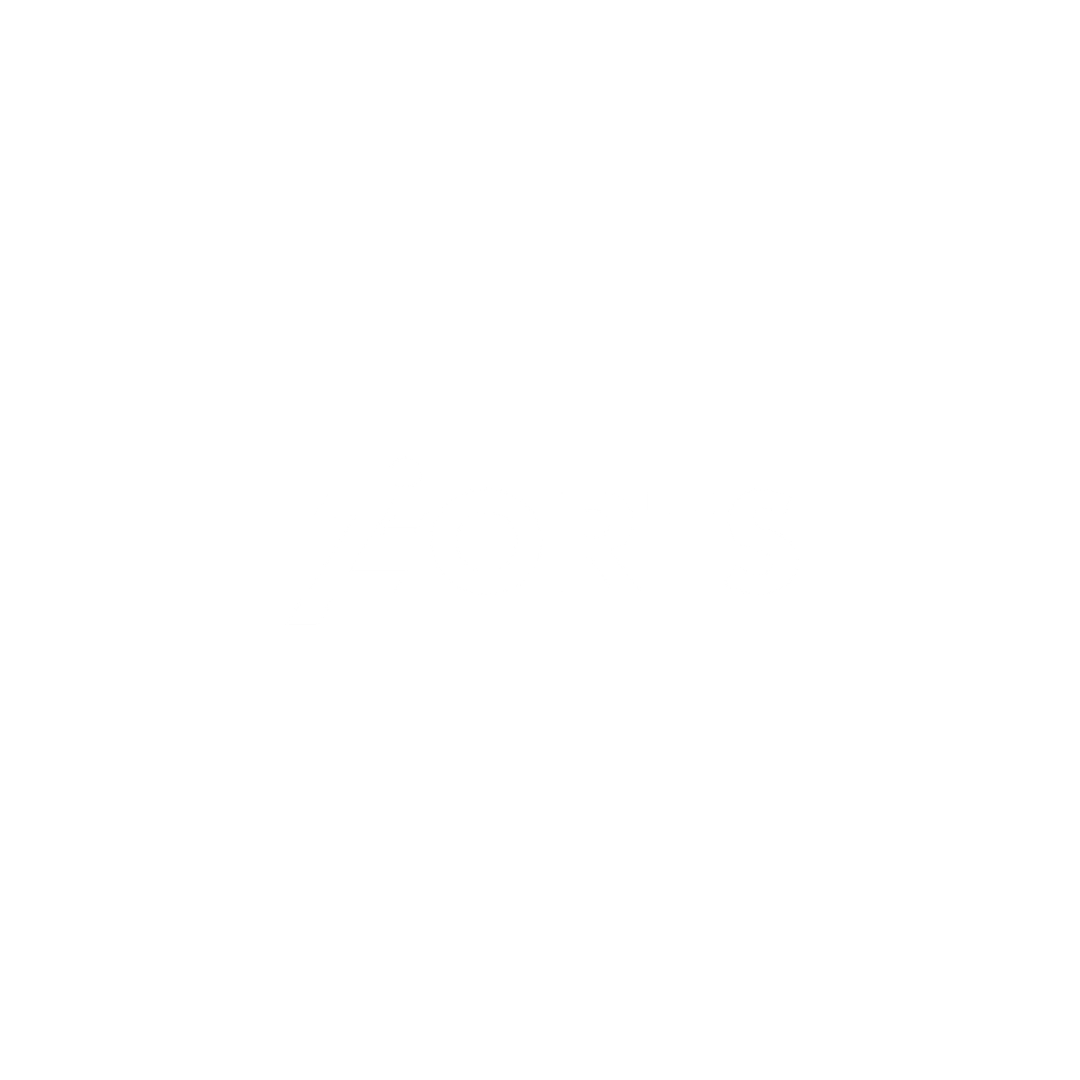 Zorts logo.png