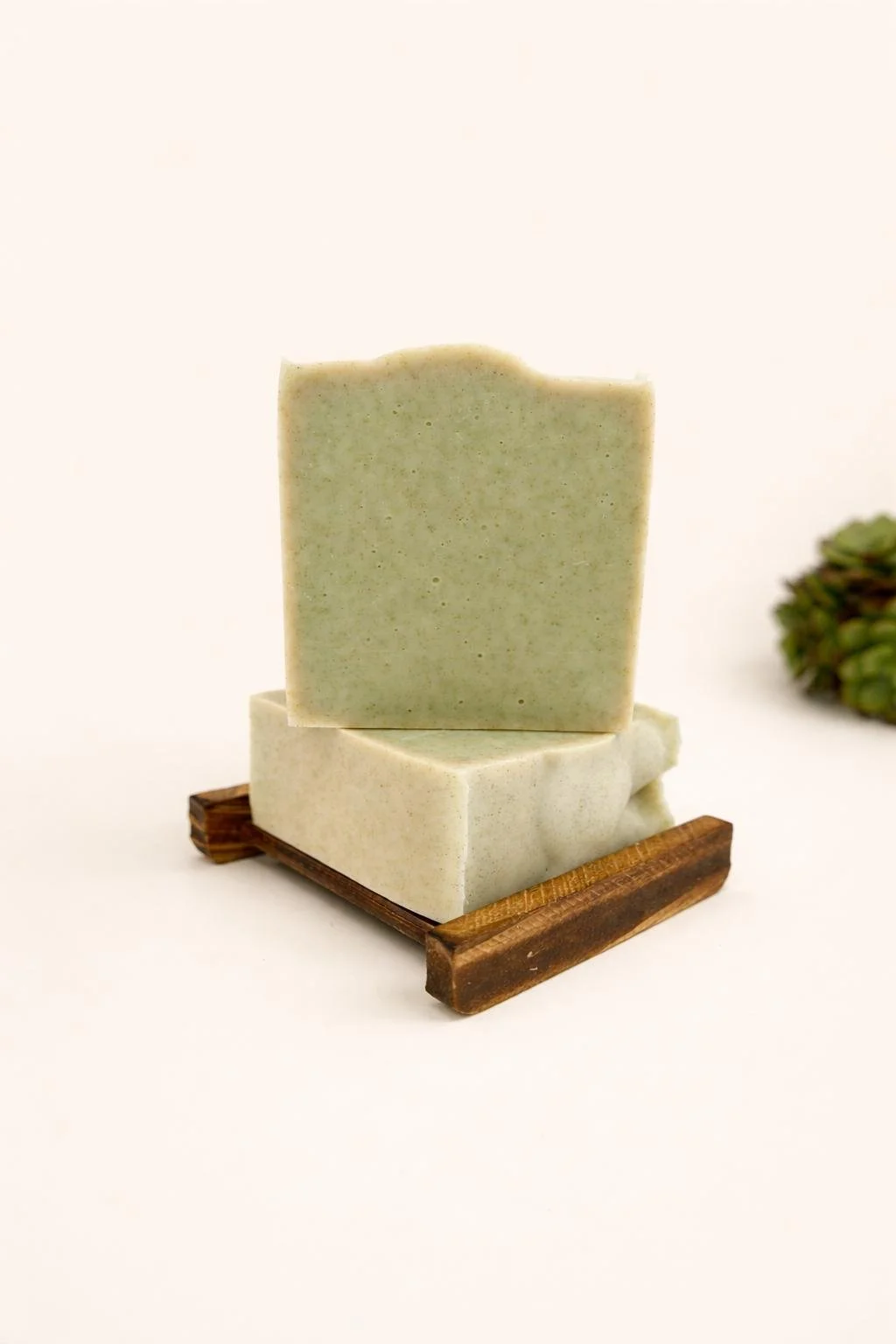 WhatsApp Image 2026-03-12 at 12.07.57 PM.jpeg