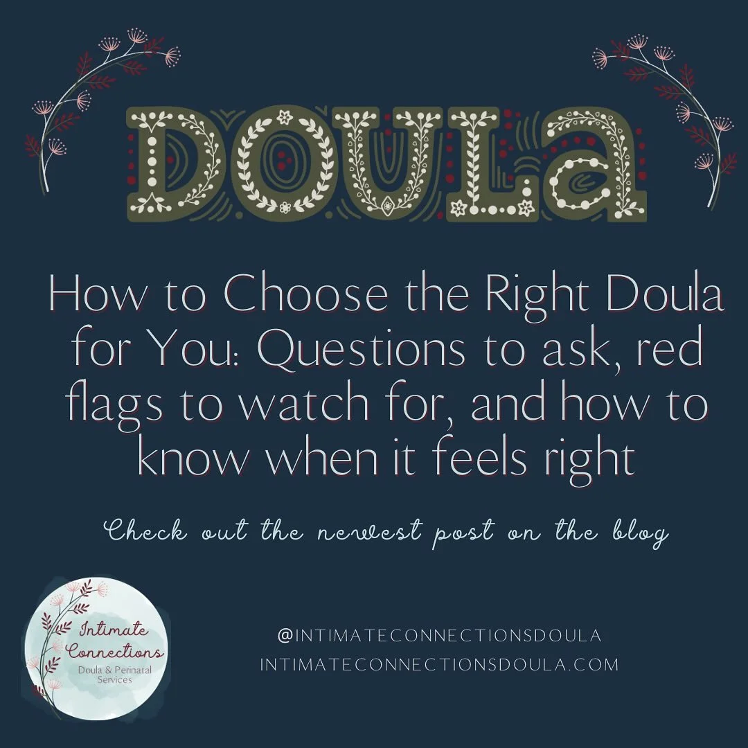 ✨How to choose your doula! ✨
💕choosing your doula is such an important decision, and this is a little guide to help you! 
🌿this blog post dives into all the important questions to ask, red flags to watch for, and how to trust your gut when choosing