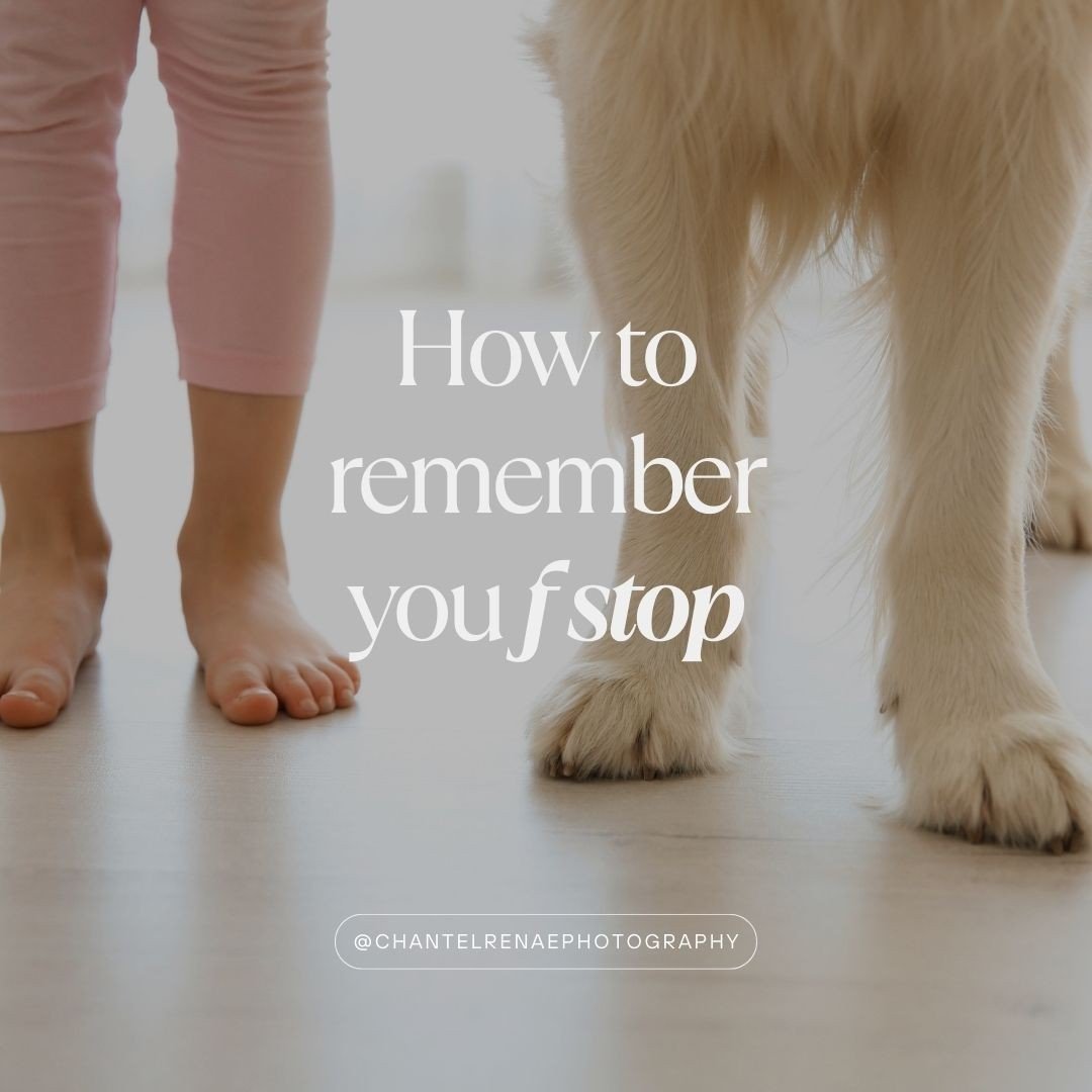 An easy way to remember your fstop

In my early years of learning how to shoot on my camera it was f stop that always stumped me. 

There are a few little tricks I taught myself along the way to help me remember what f stop does and what I can use it