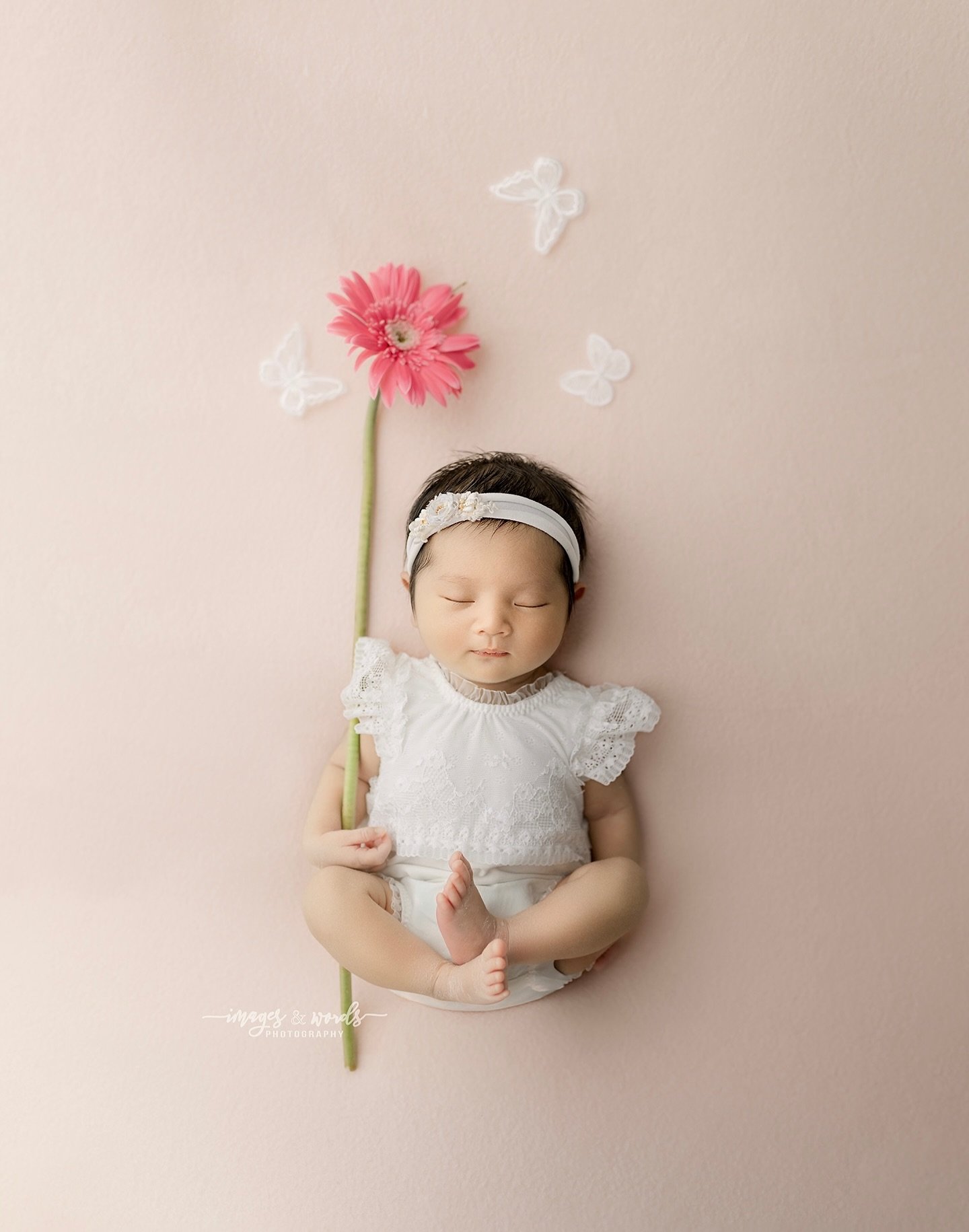 This little sweetheart stayed peaceful while clinging to the flower her dad brought 🌸

Lily Kay | 11 days new