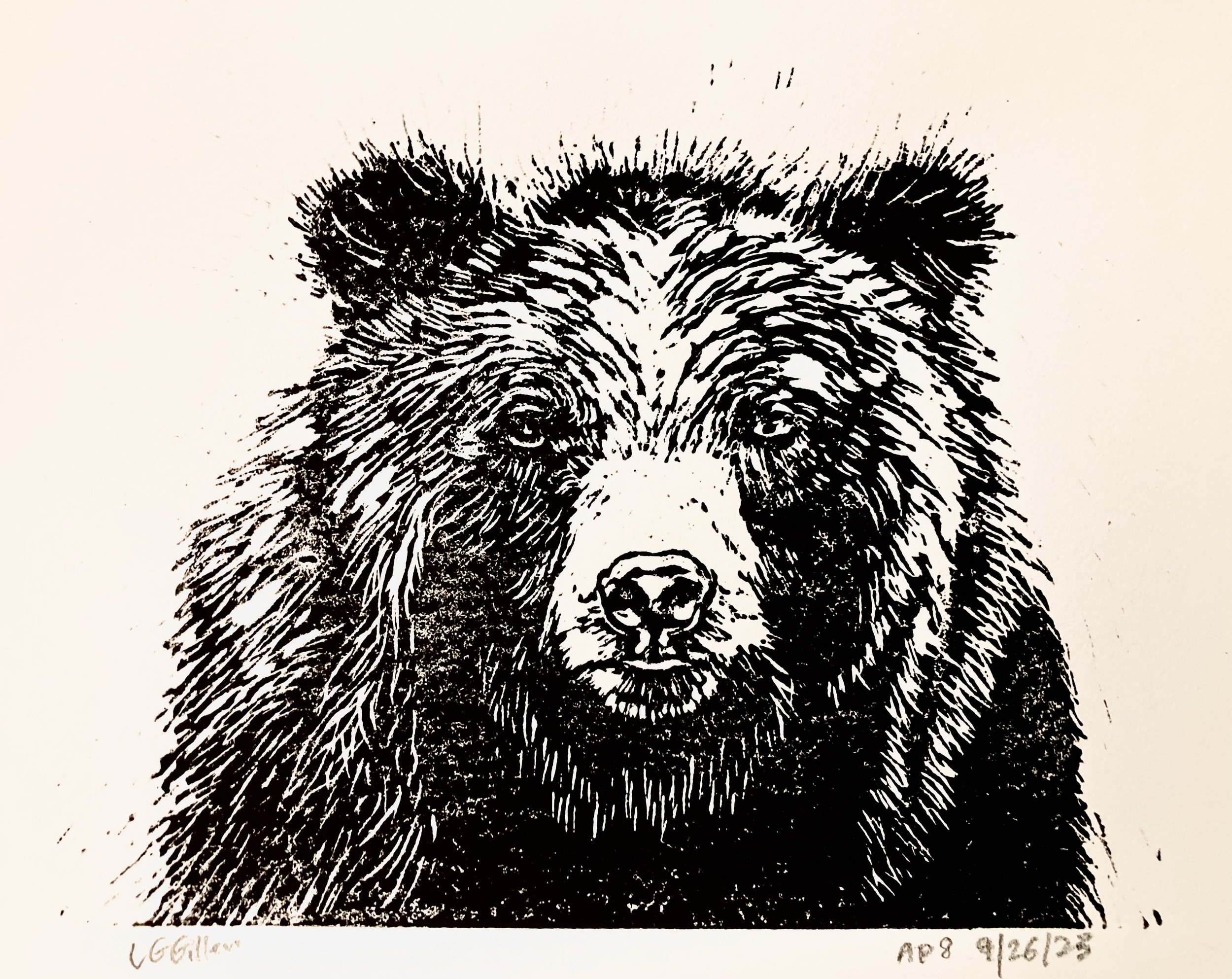 Bear