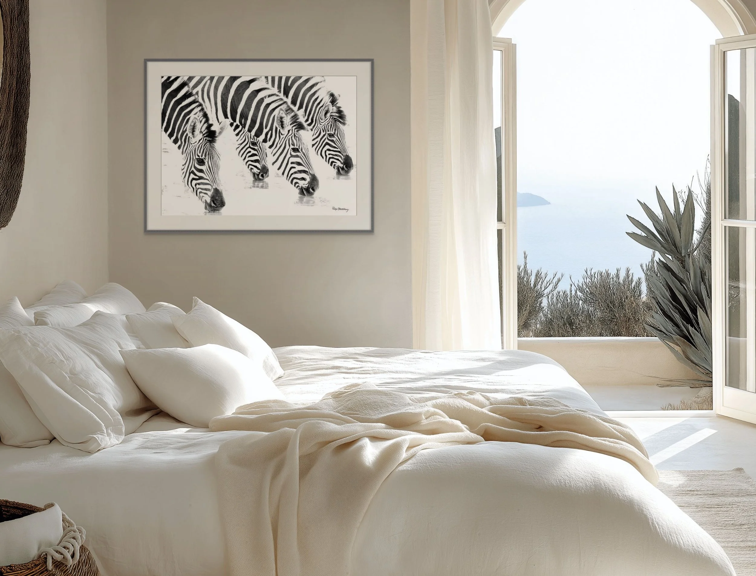 zeb 15 zebras four drinking-custom.jpg