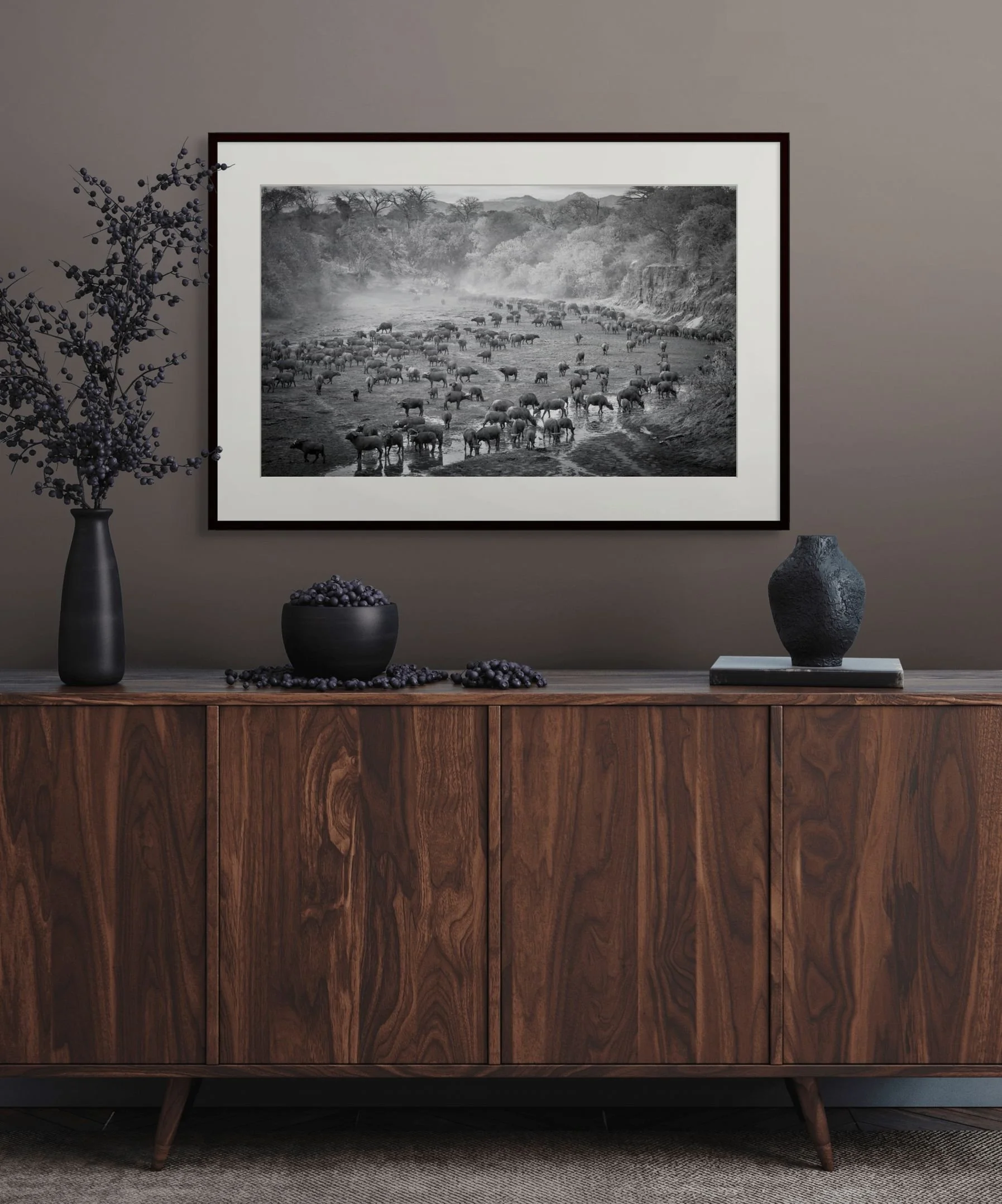 chitake buffalo herd-custom.jpg