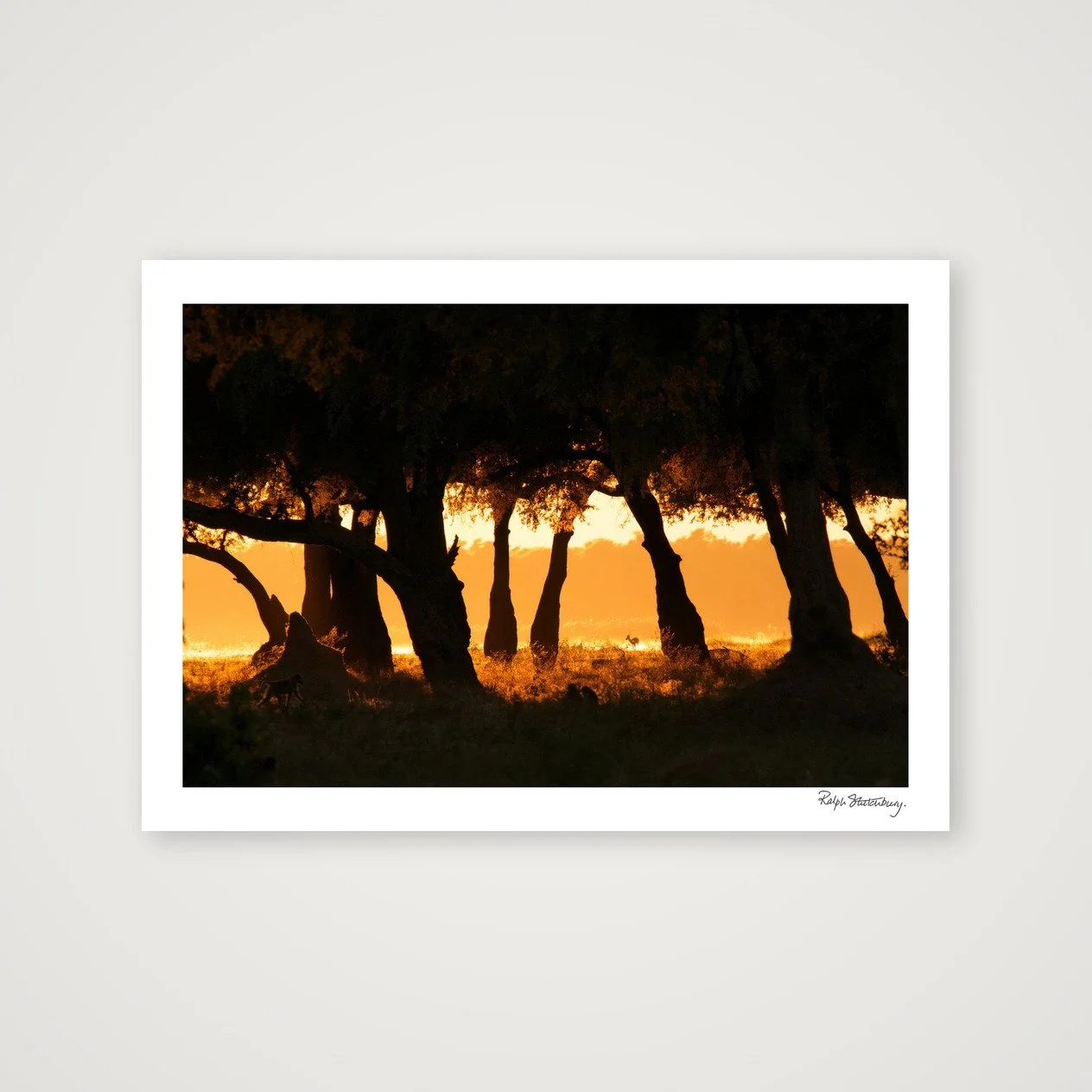 shot_table_4273b0ad_45ed724b.jpg