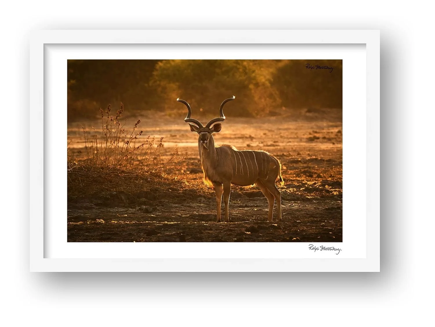 preview_3083f929_6d0eddd8.jpg