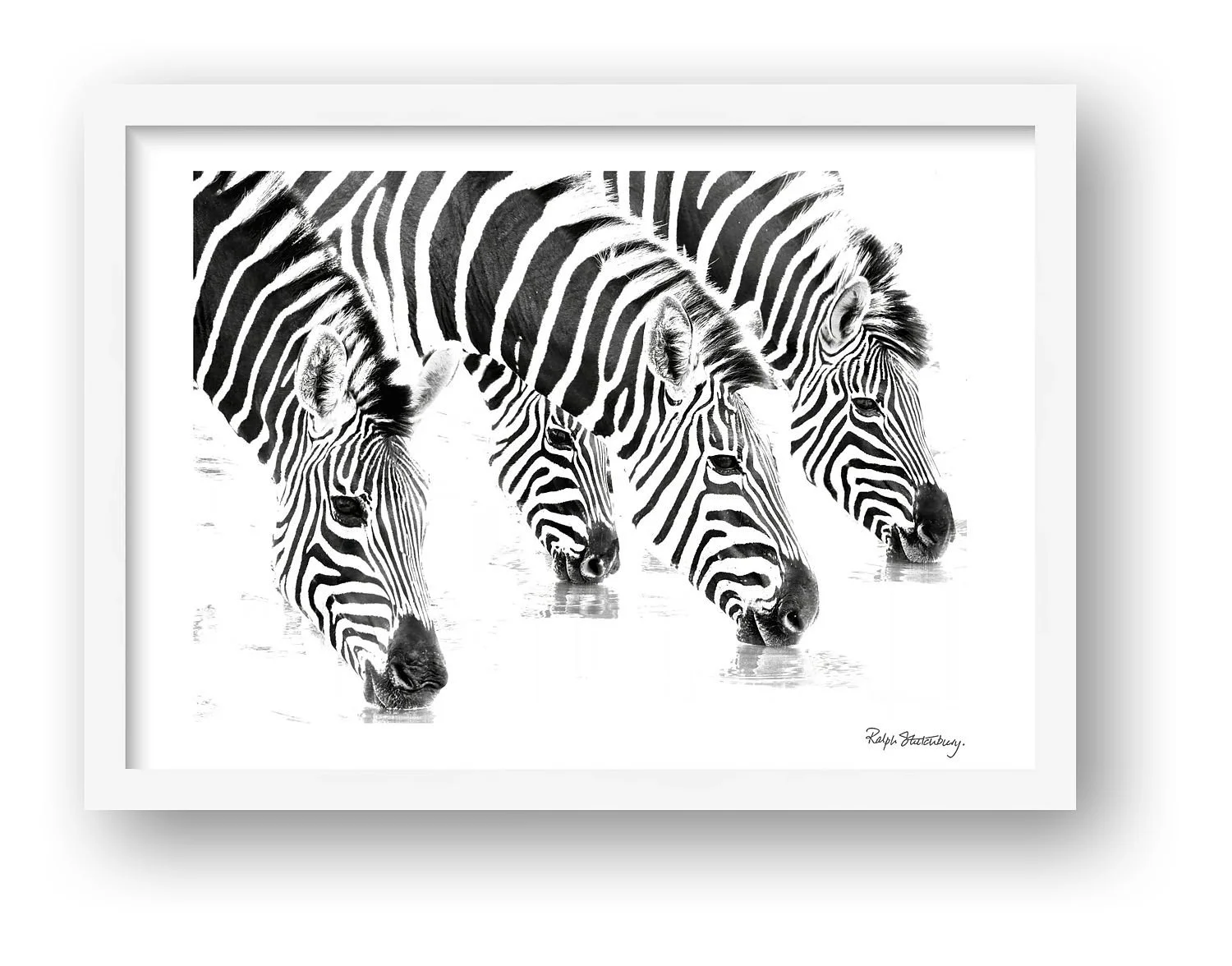 preview_80ba5380.jpg