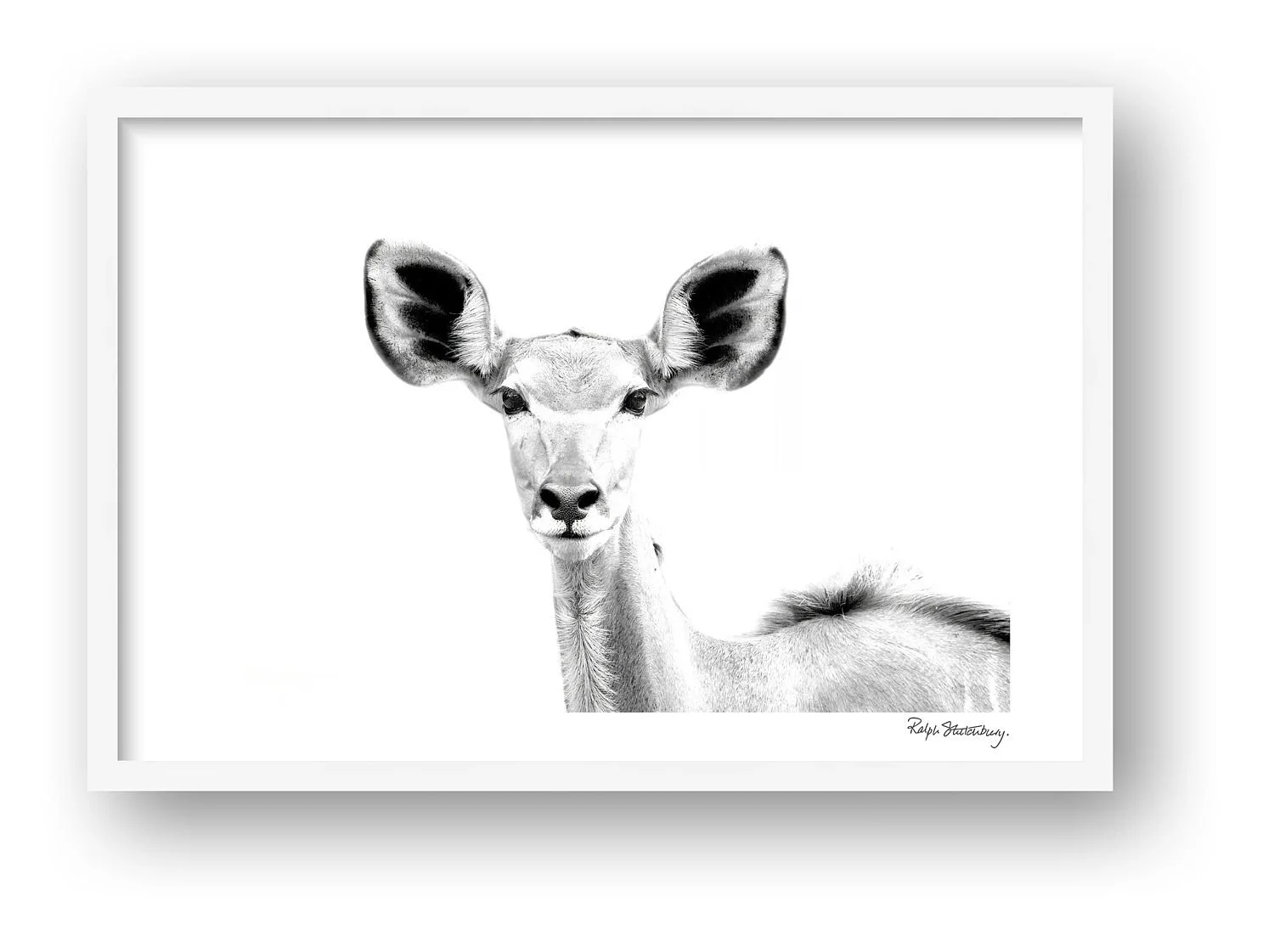 preview_be067207_5a20aee0.jpg