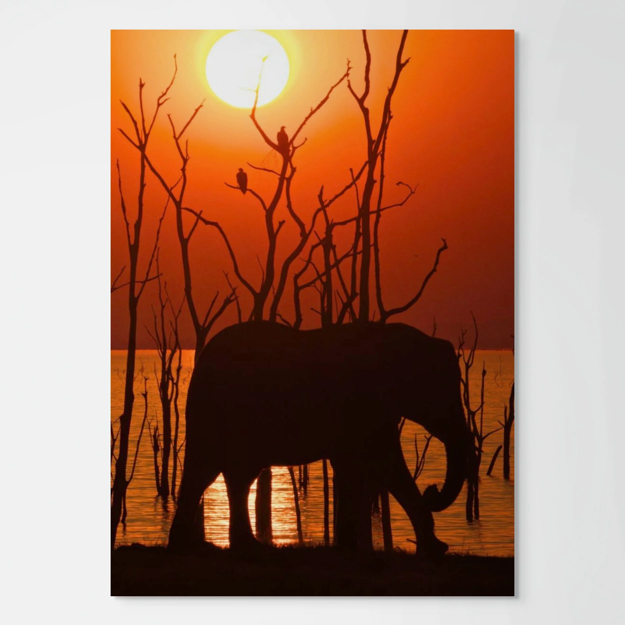 kariba sundowner-full.jpg