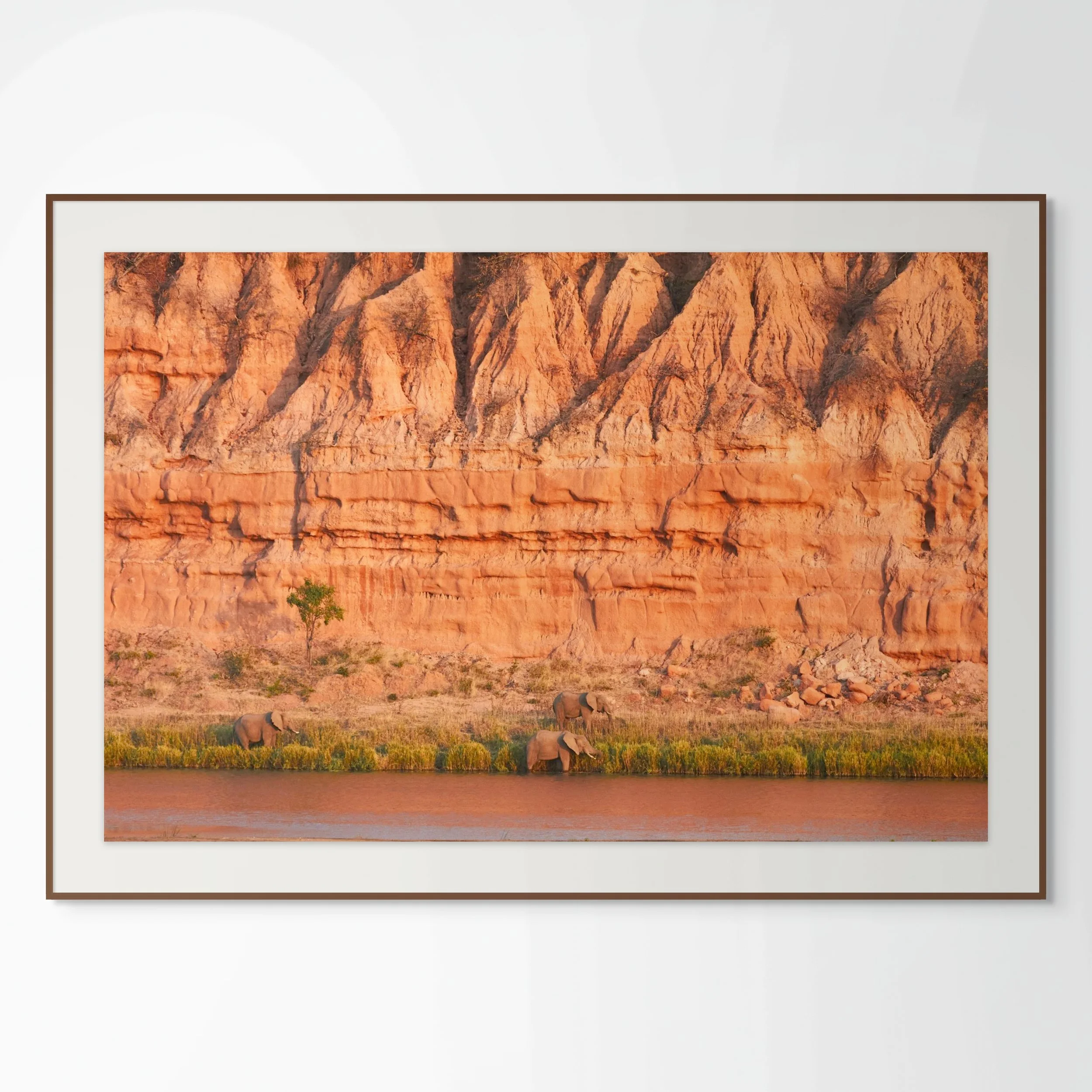 img_5749-full (1).jpg