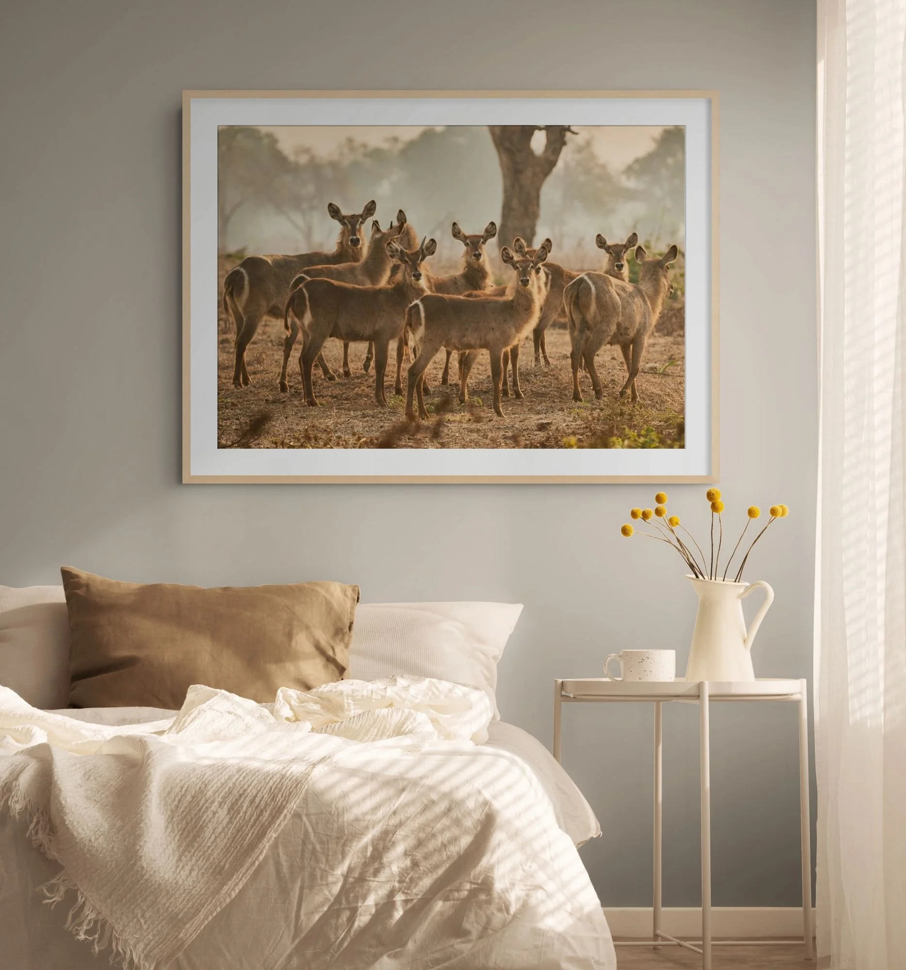 04 waterbuck females and juveniles-custom.jpg