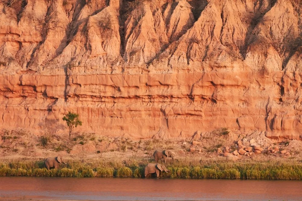 gonas cliff ellies small.jpg