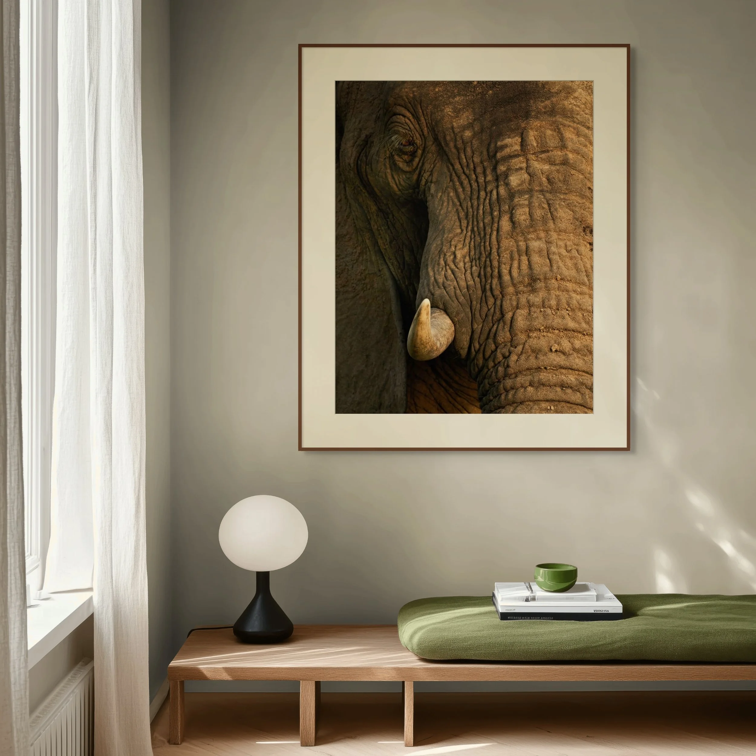 gentle giant-full.jpg