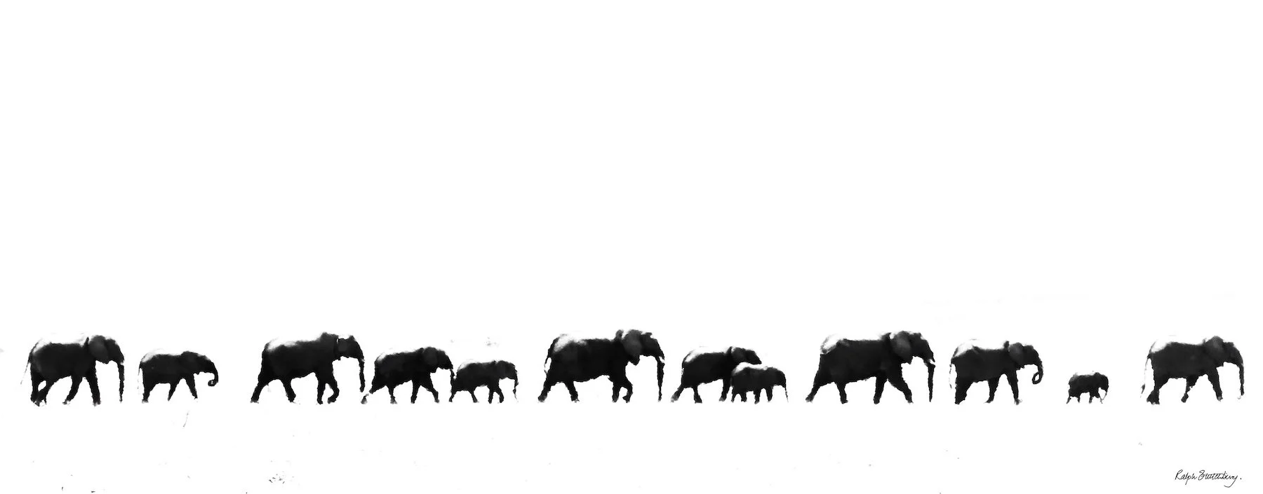 Elephants in heat haze small.jpg