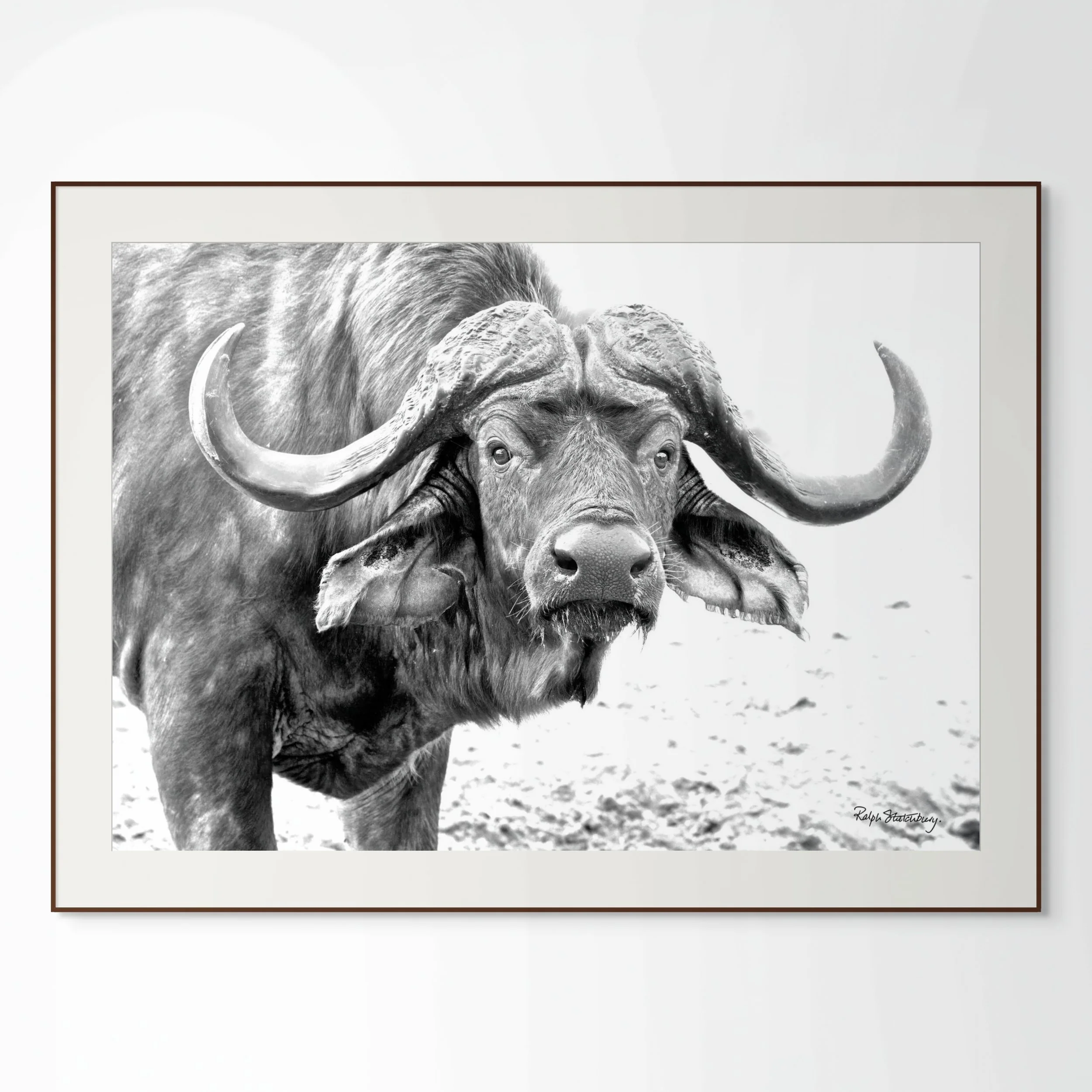 daga boy-full (4).jpg