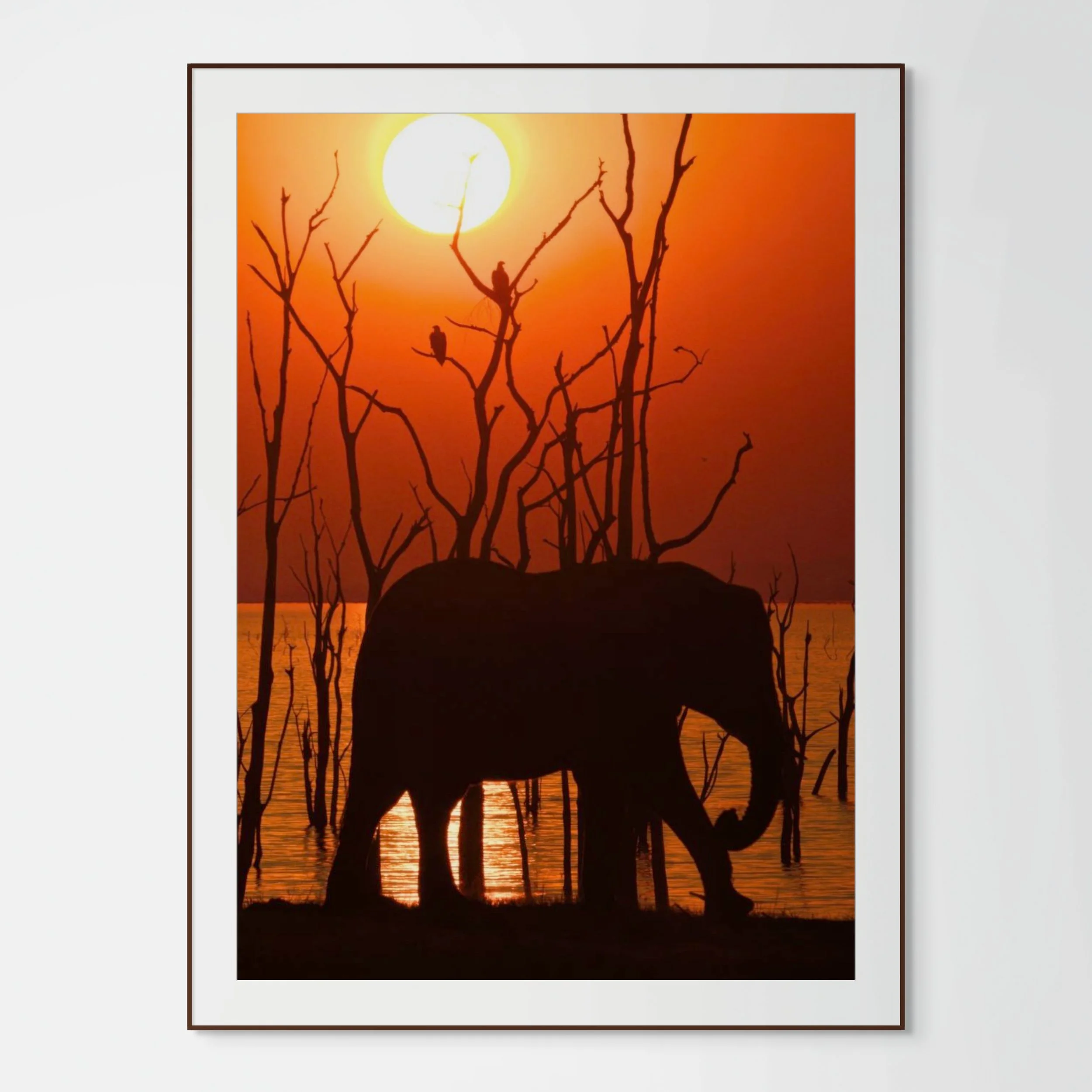 kariba sundowner-full (1).jpg