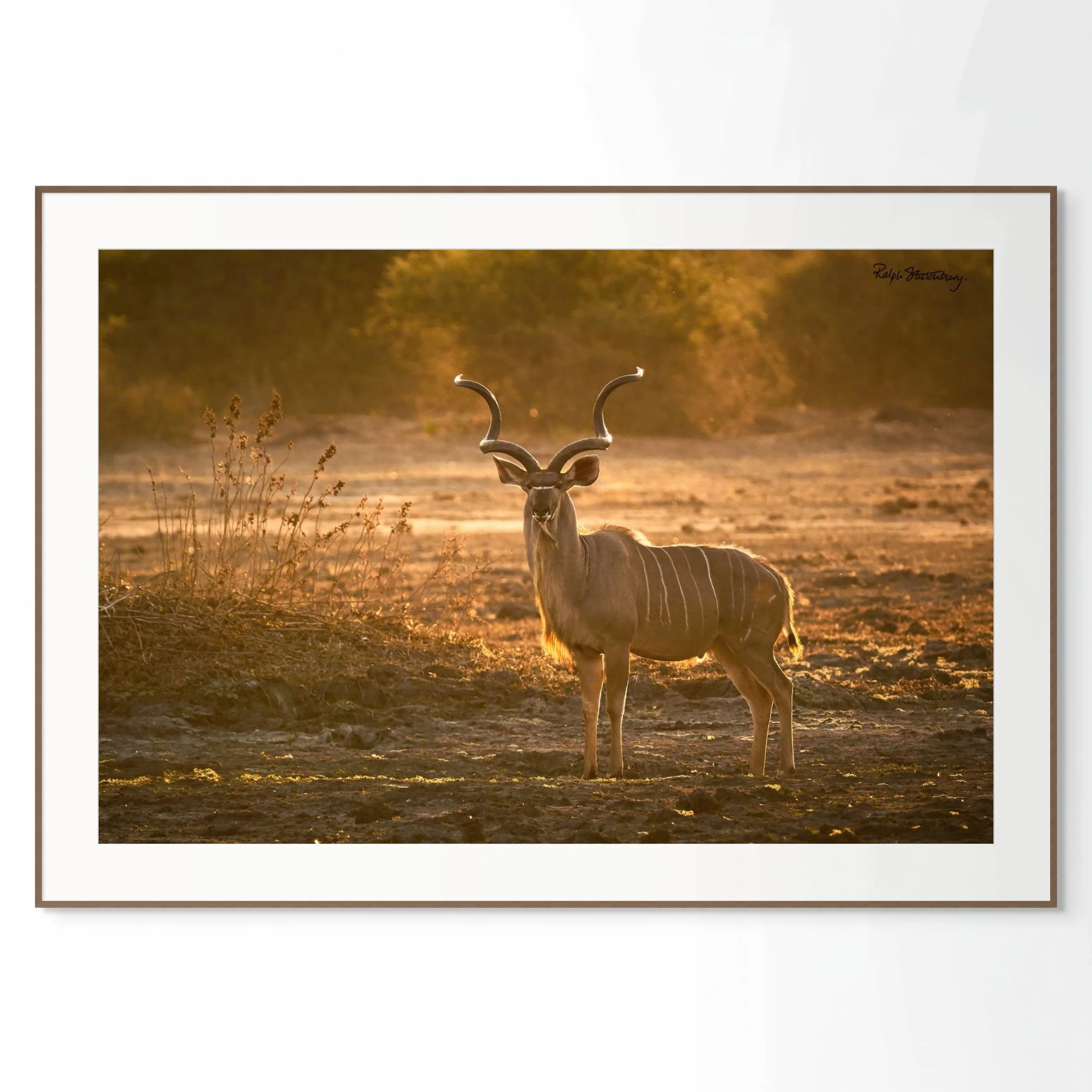 Dusk at Machiniwa Pan