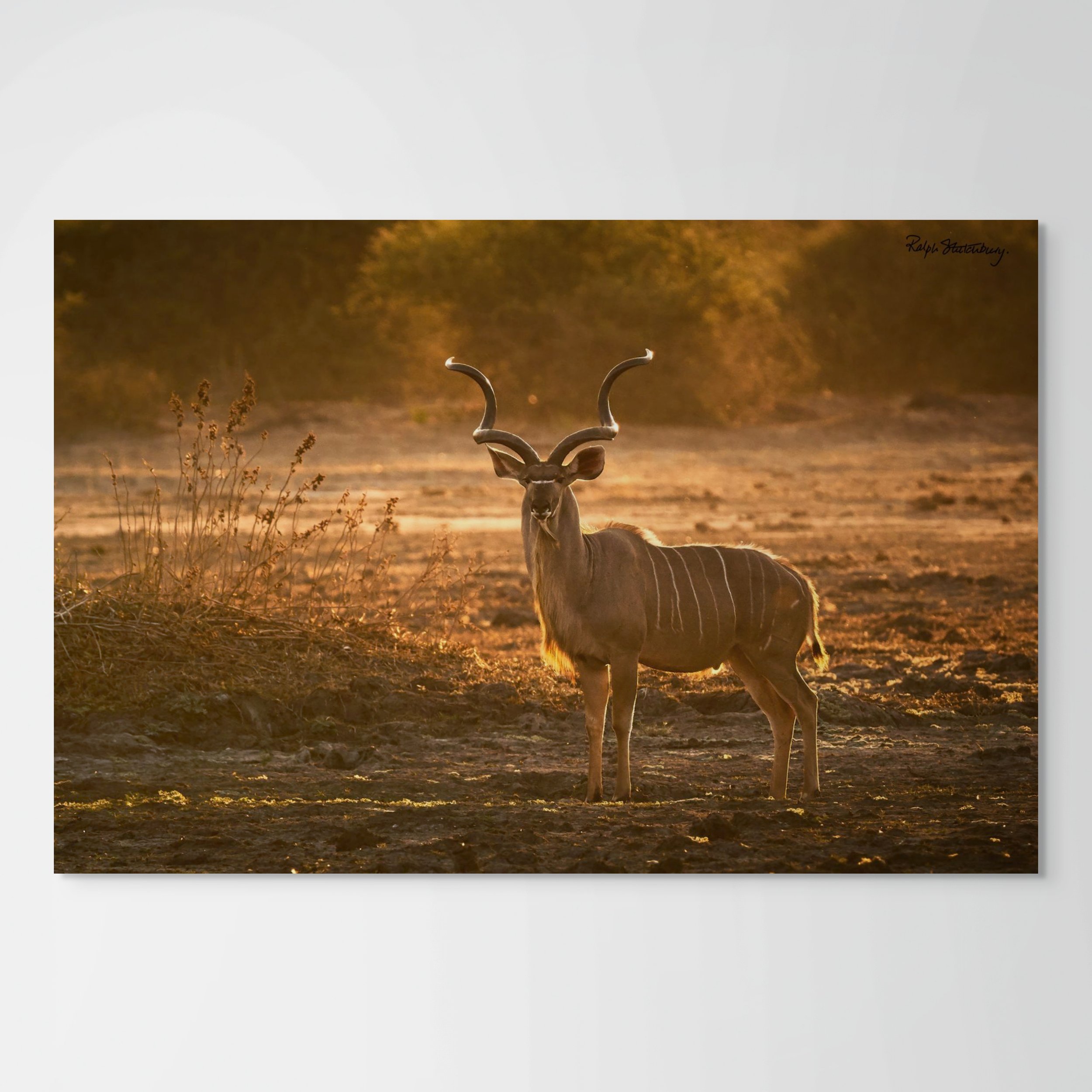 dusk at machiniwa pan-full (2).jpg