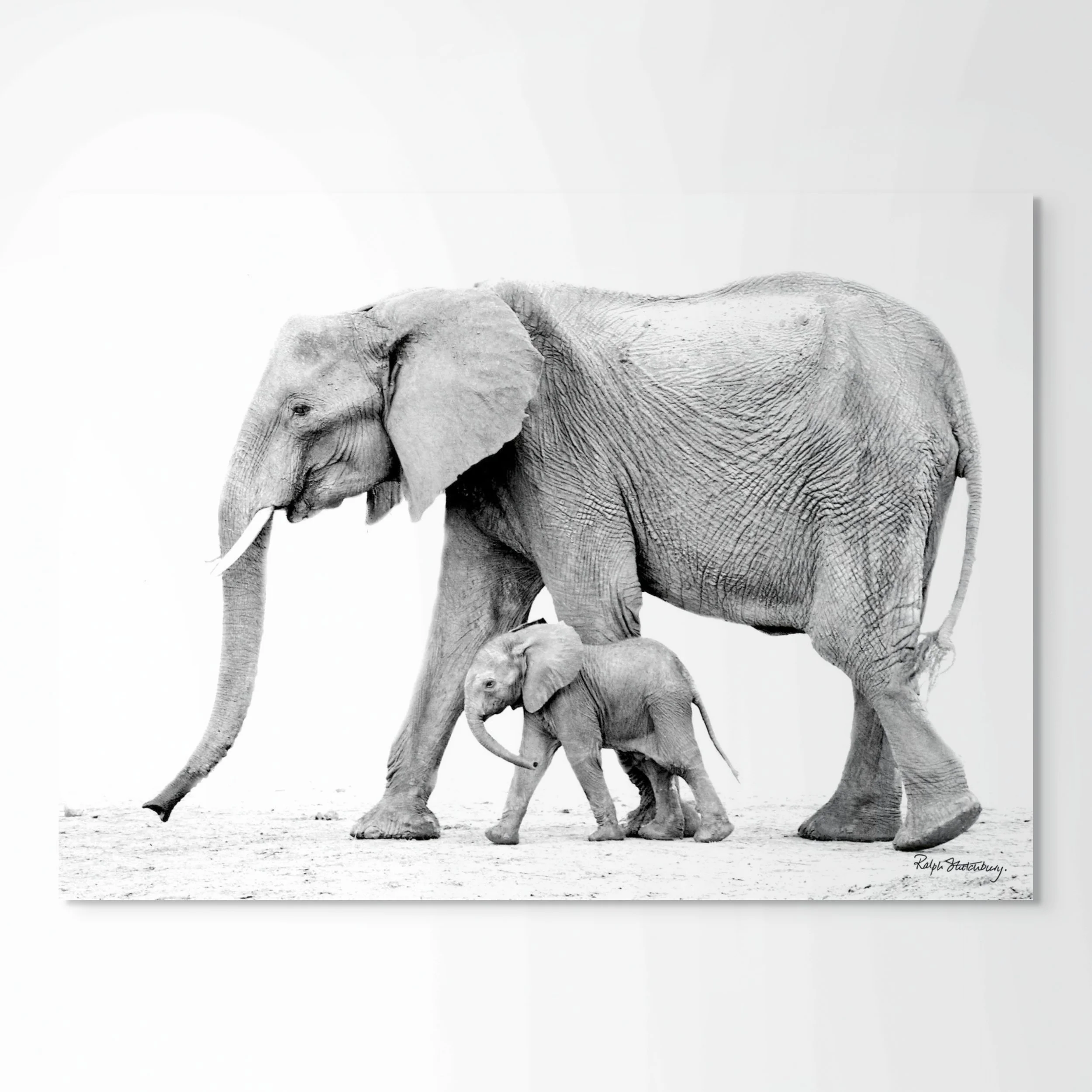 side by side-full.jpg