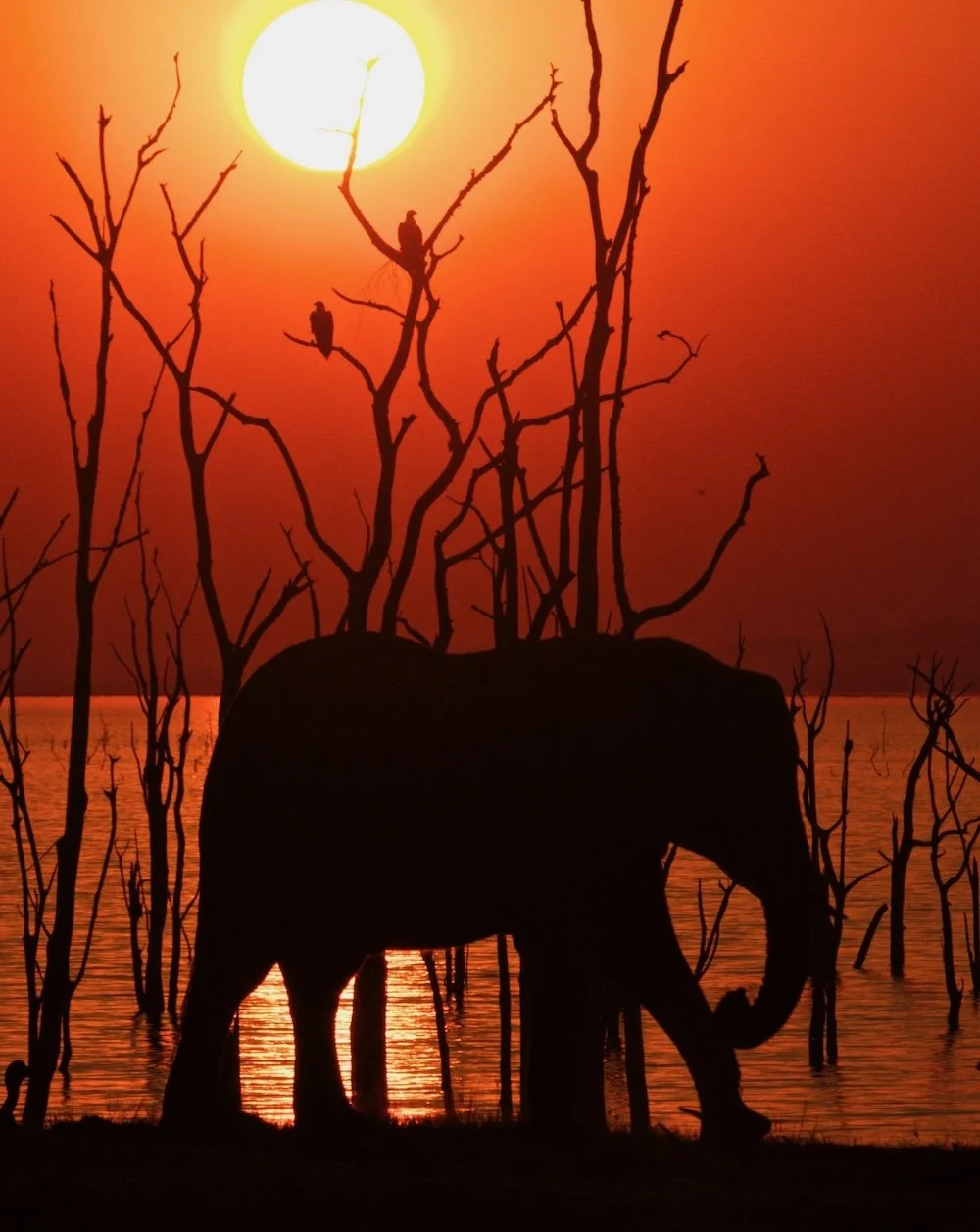 Kariba Sunset