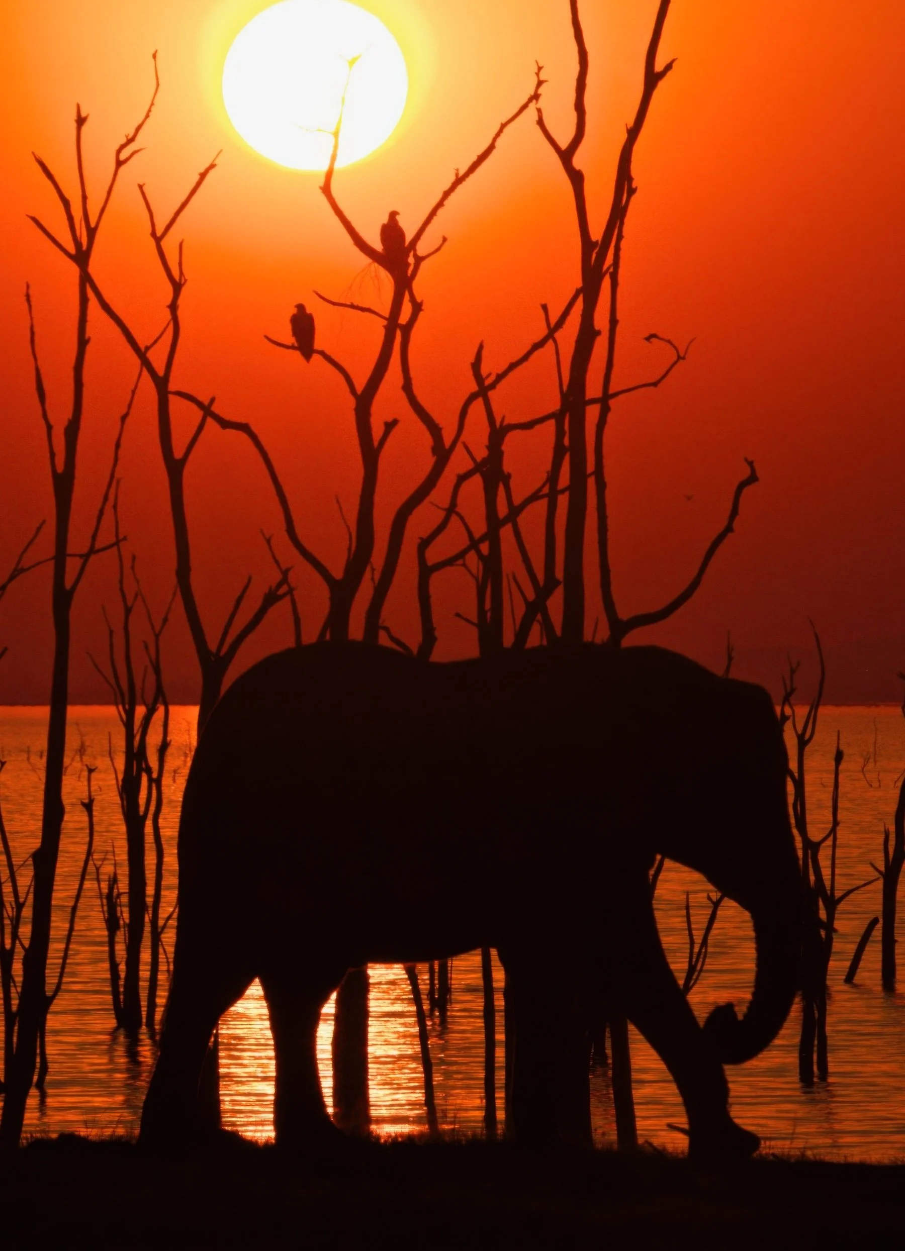 Kariab sundowner small.jpeg