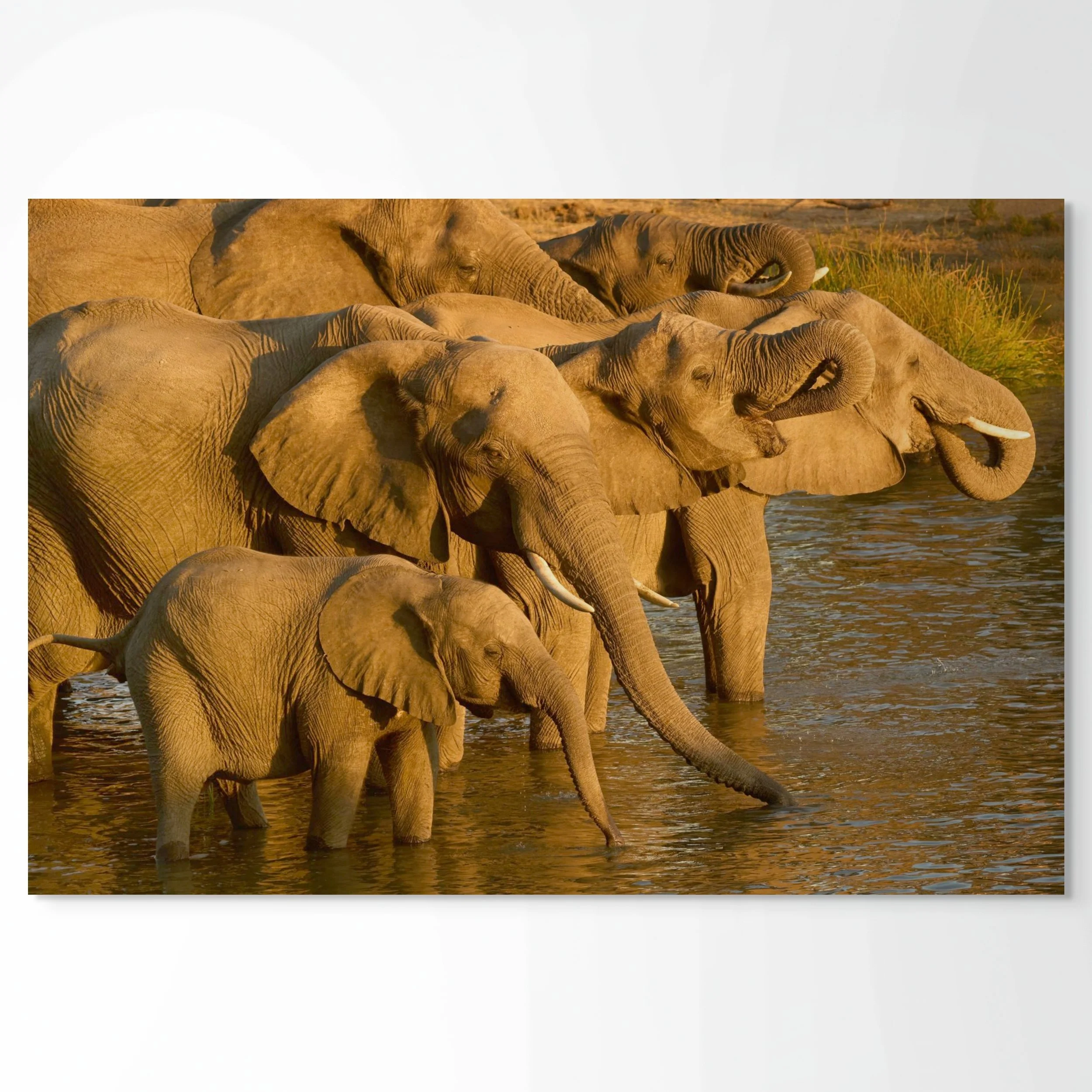 evening gathering-full (2).jpg