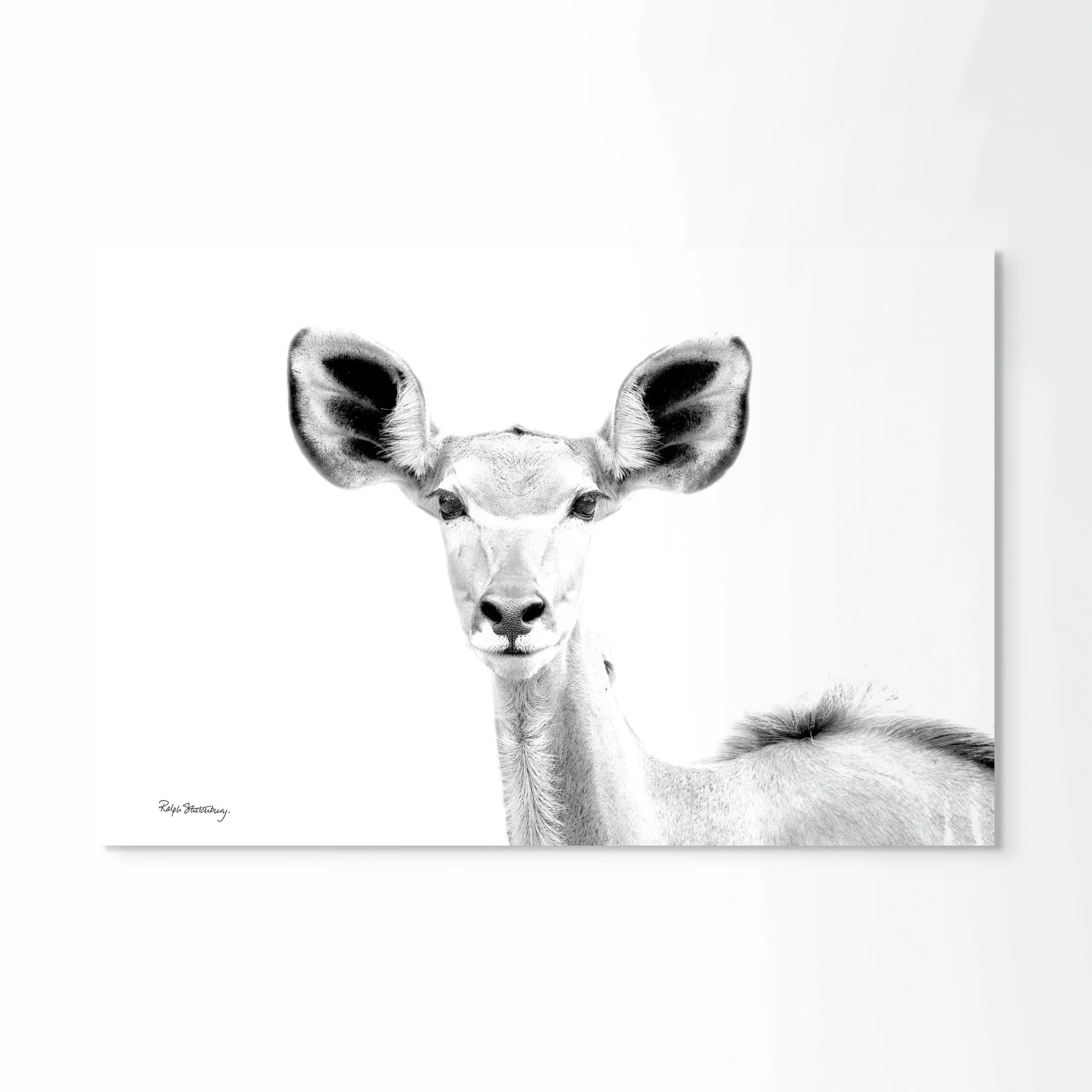 kudu girl-full (4).jpg