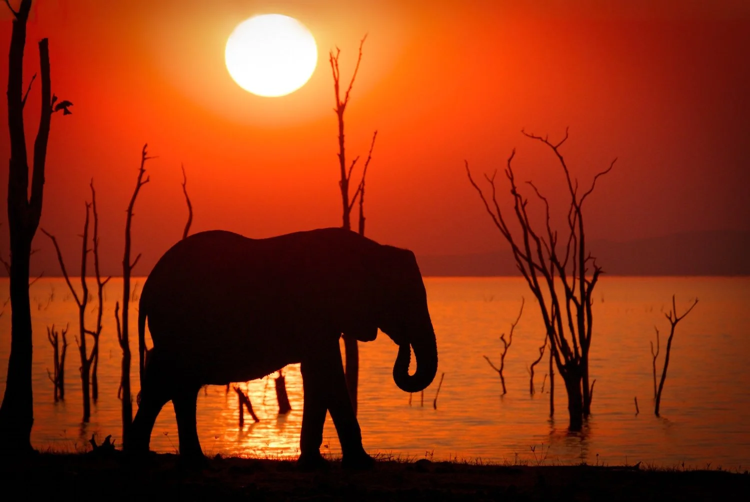 Kariba sunset small.jpeg