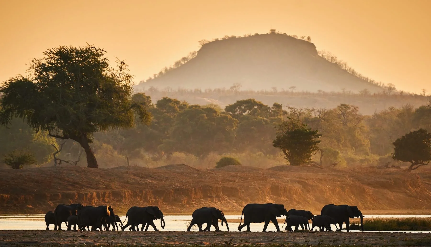 09 Gonarezho gomo and ellies Small.jpeg