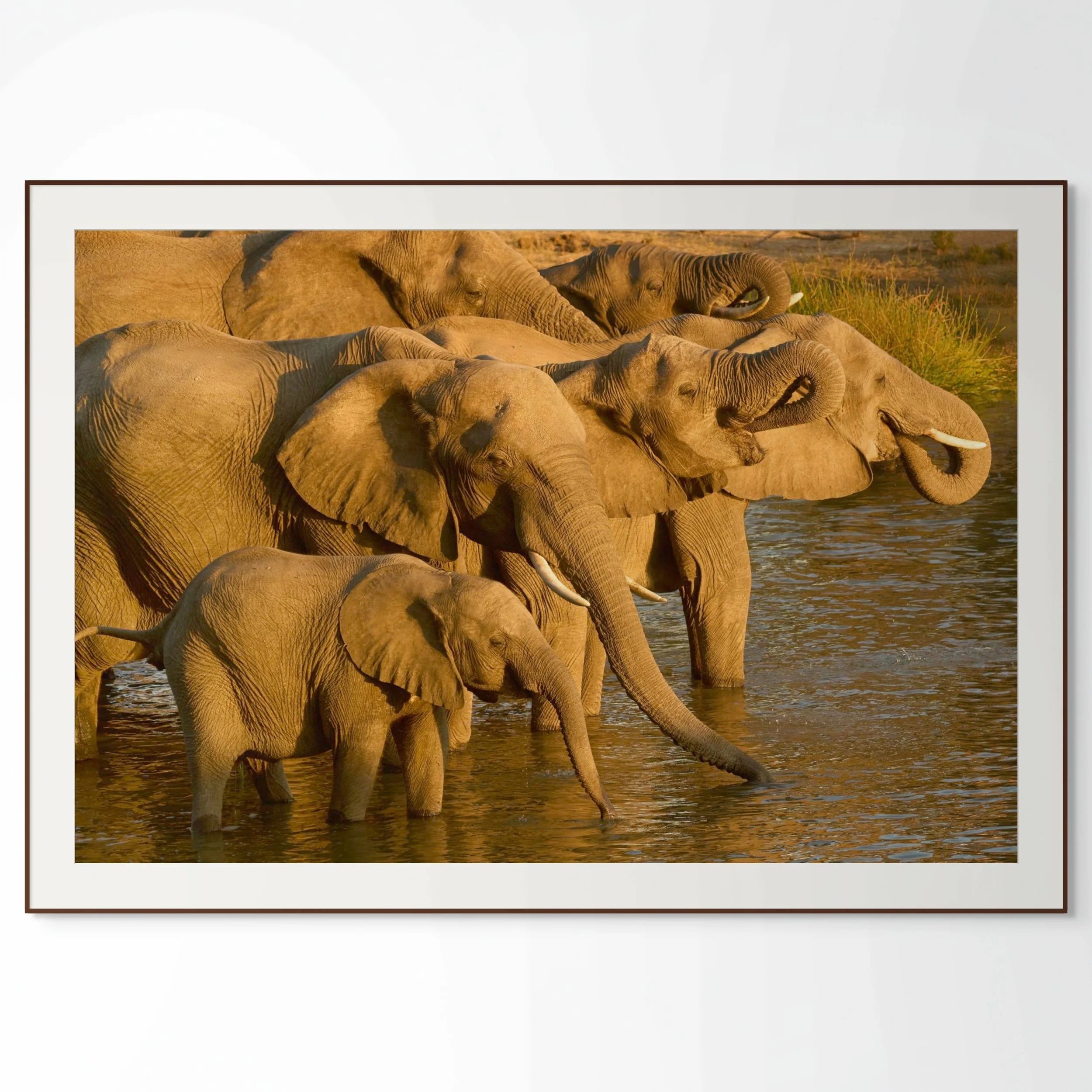 An Evening Gathering